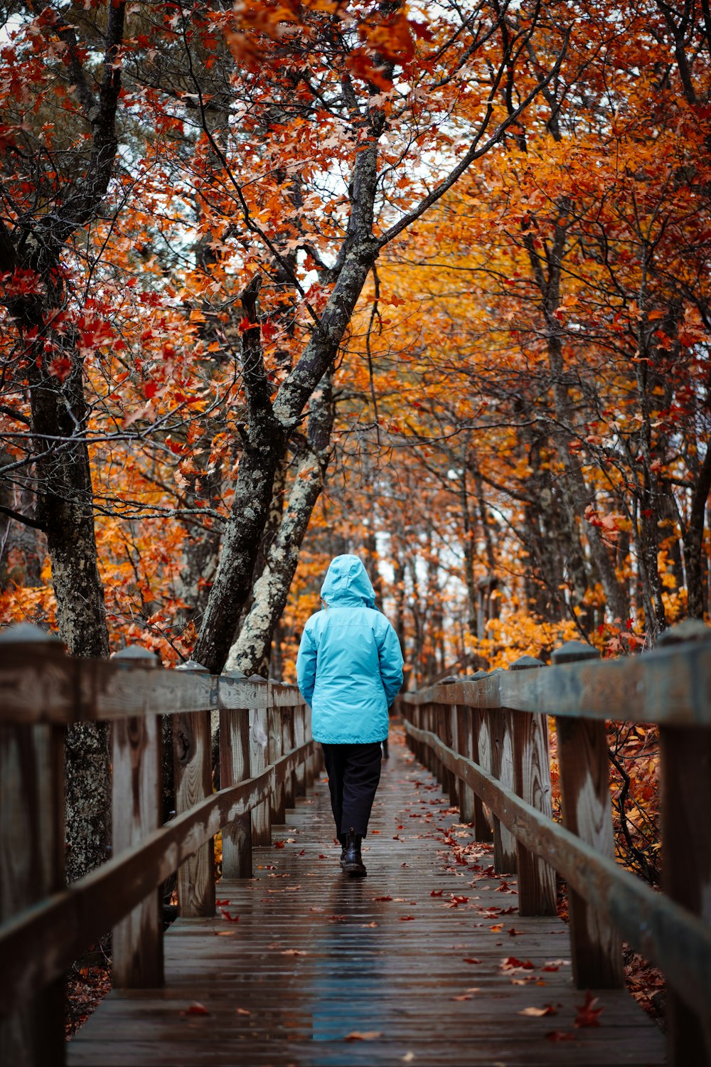 a person walking on a bridge