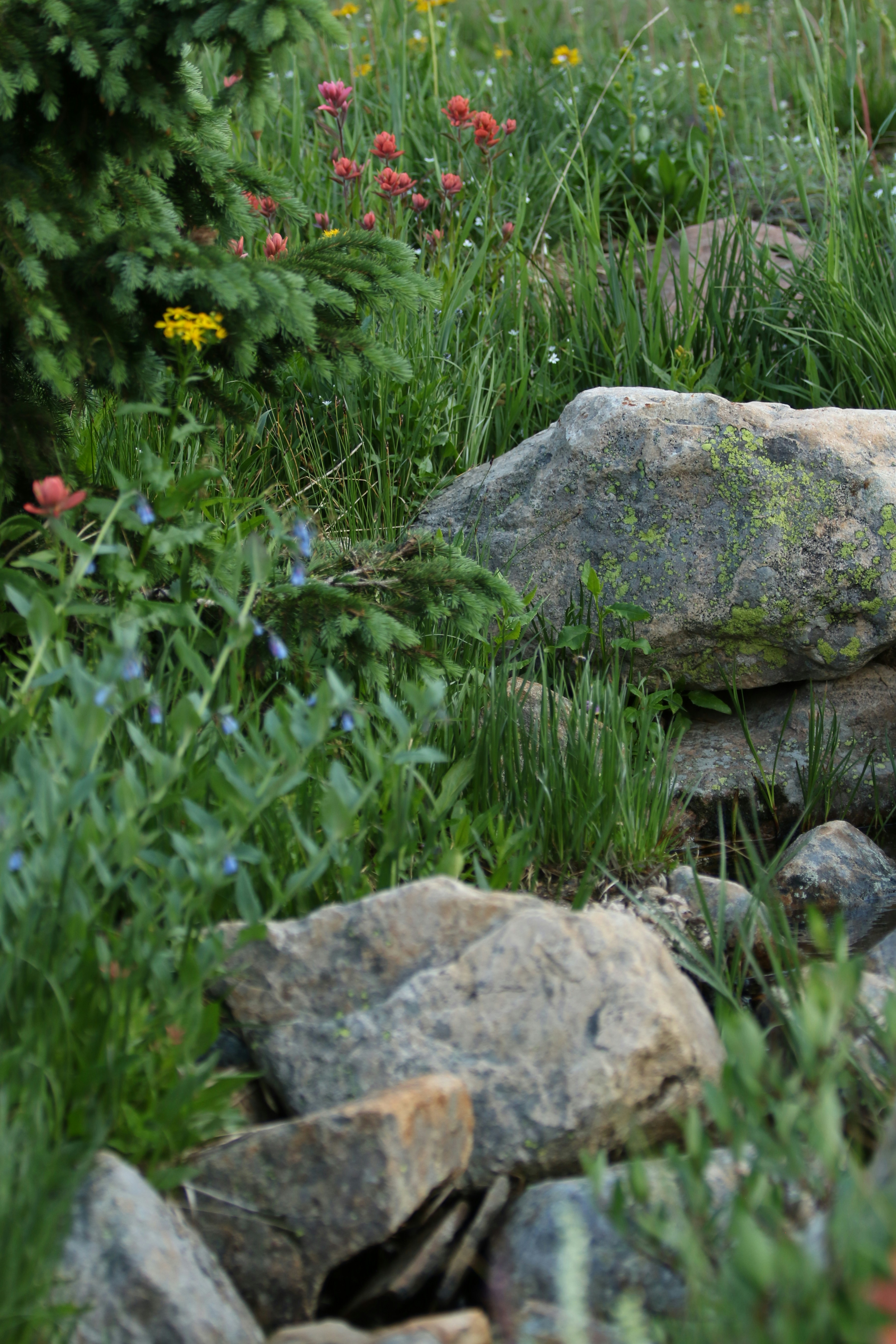 Photo by dsarver1967