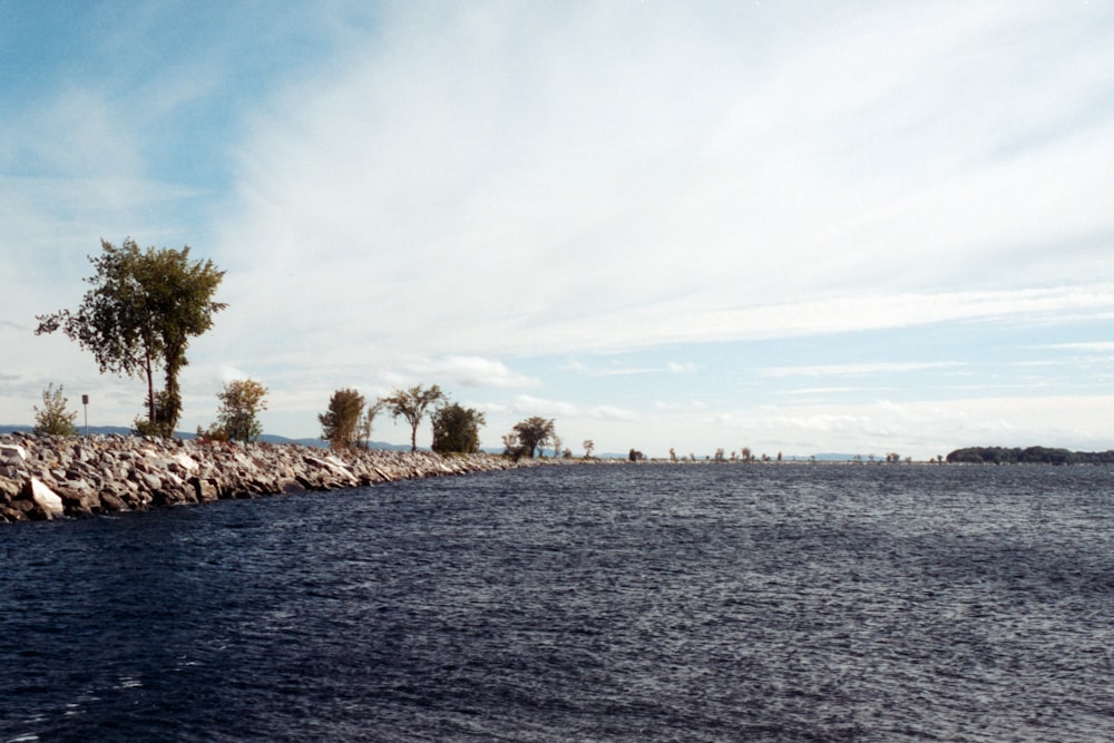 a body of water with trees on the side