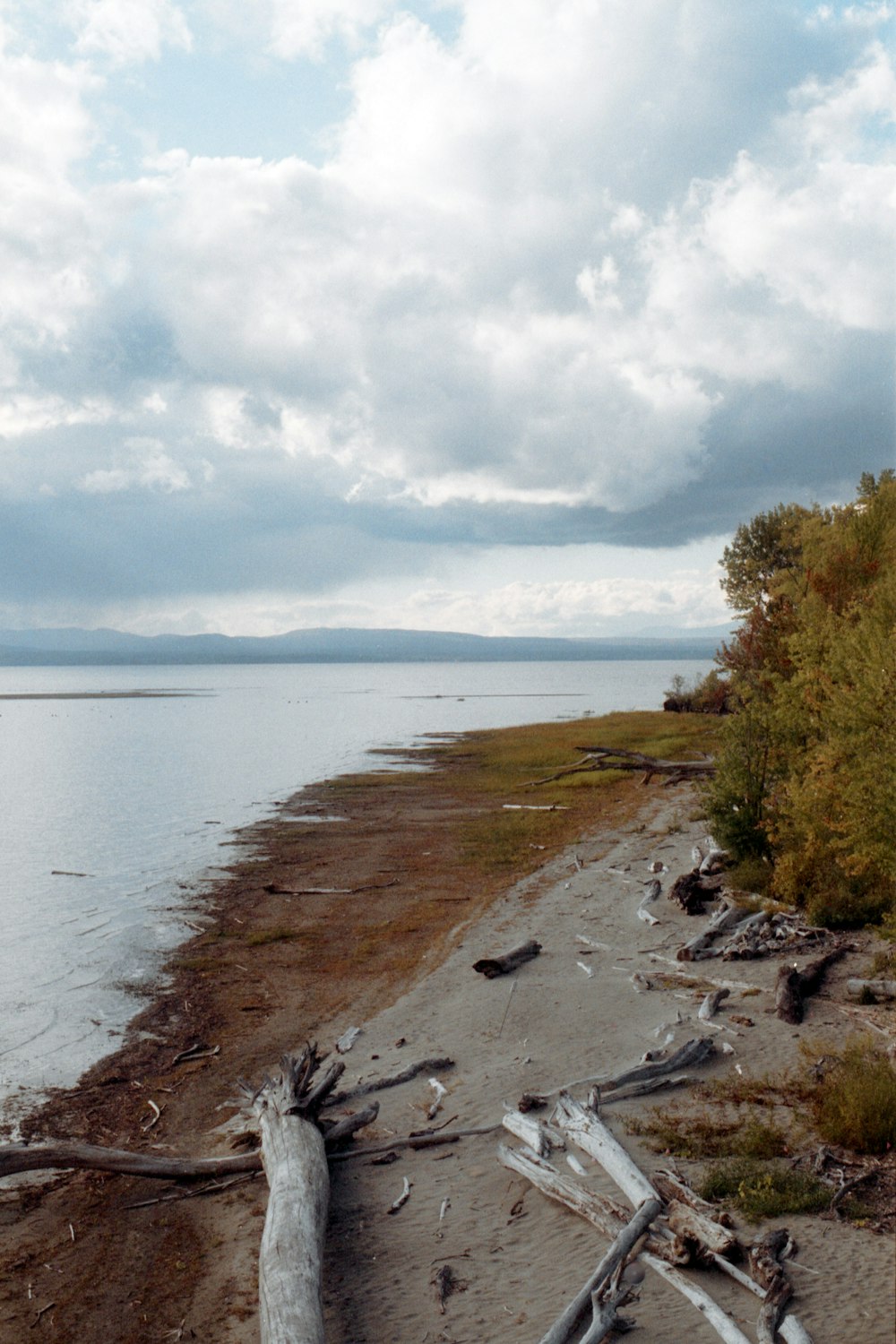 a beach with a body of water