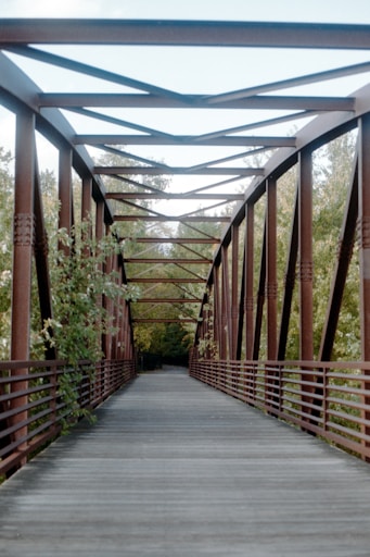 a wooden walkway with plants on the sides