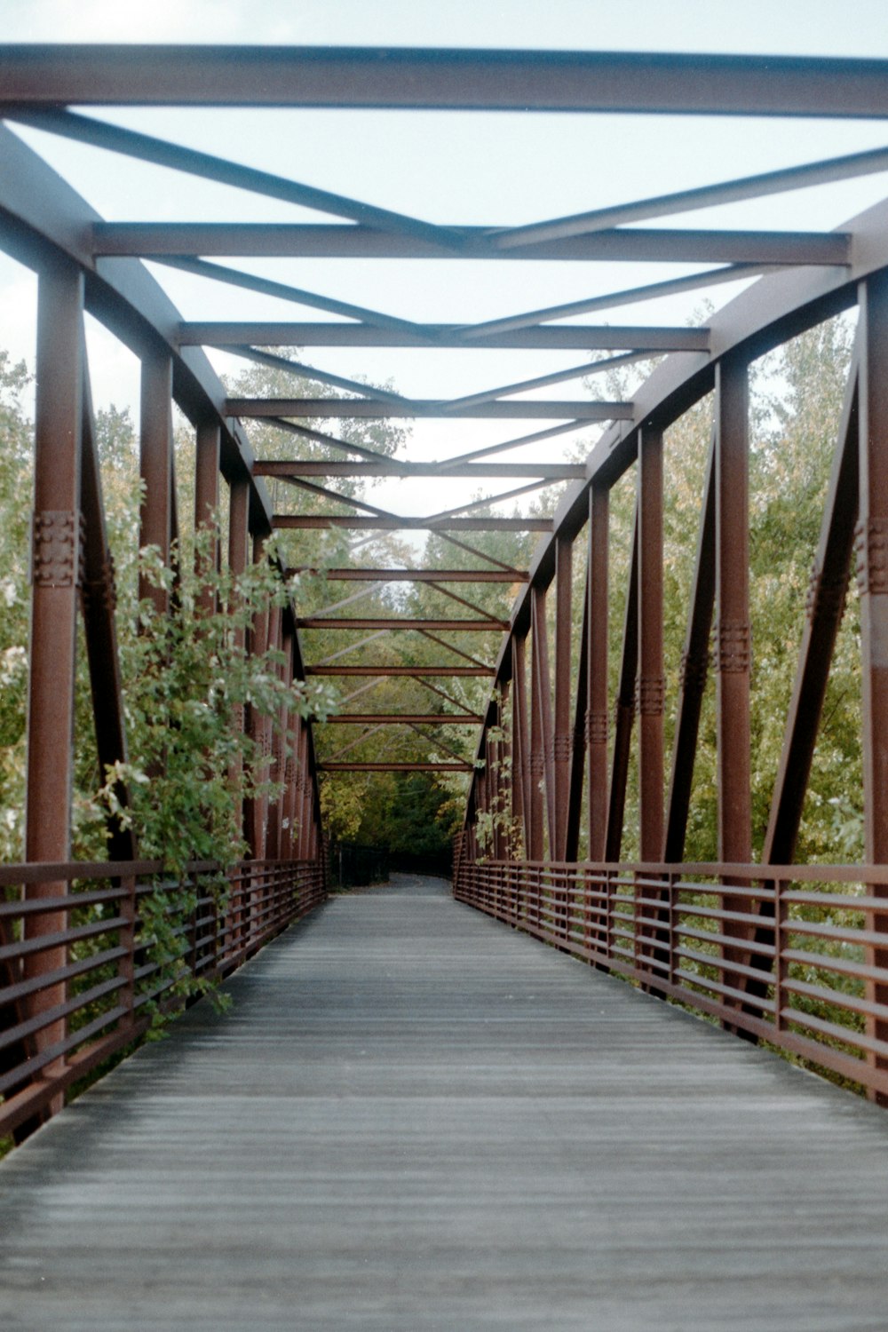 a wooden walkway with plants on the sides