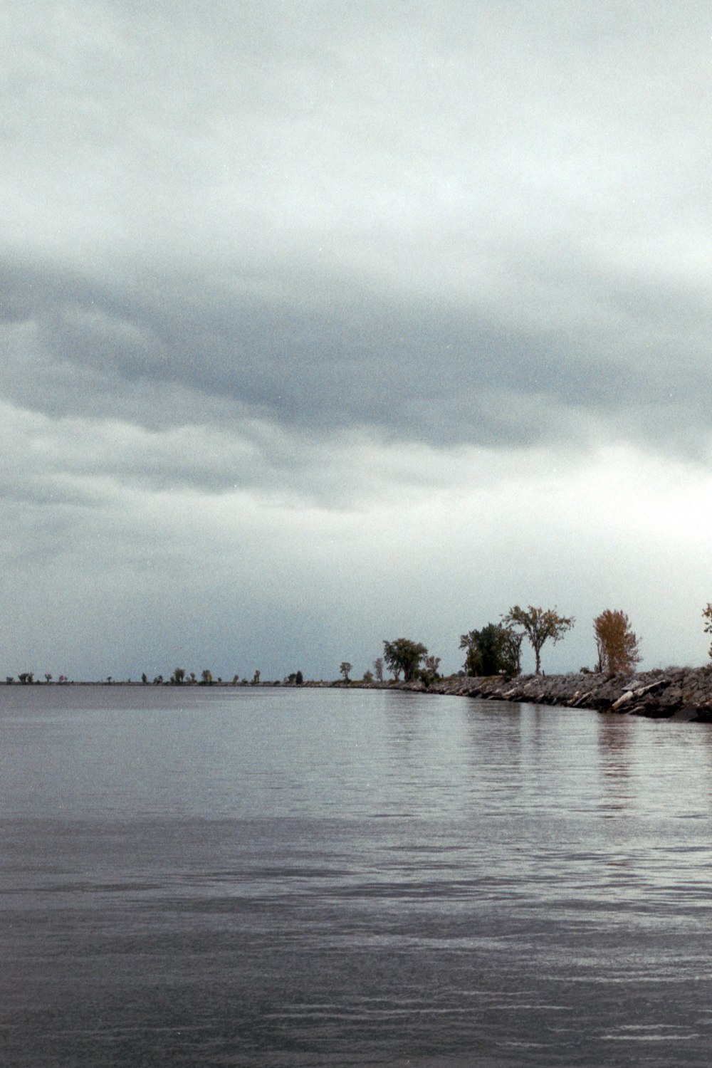 a body of water with trees on the side