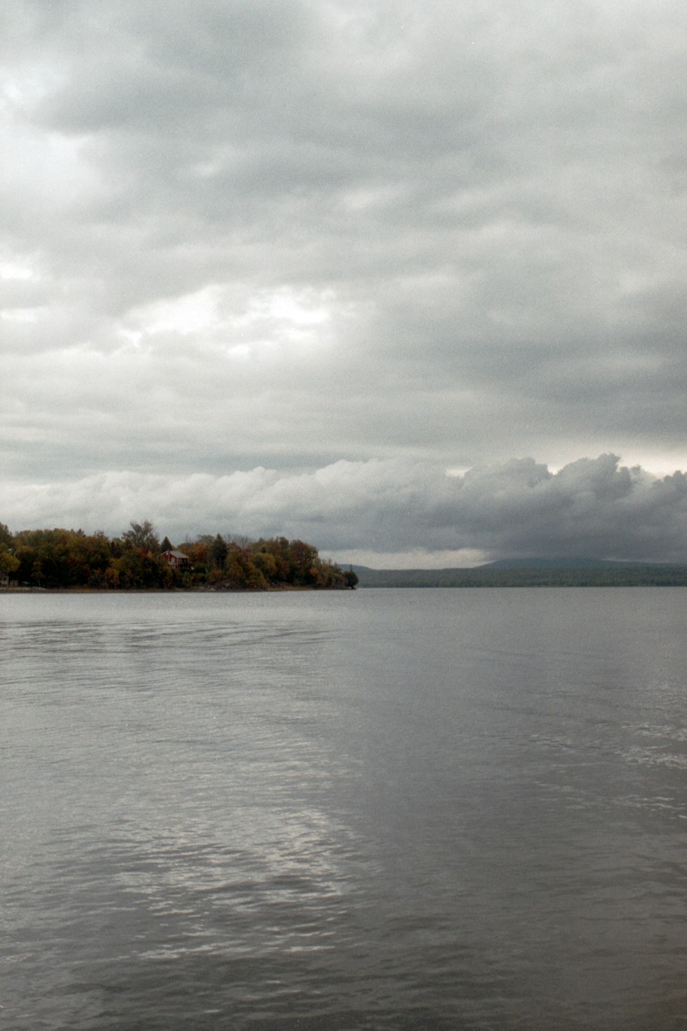 a body of water with trees on the side