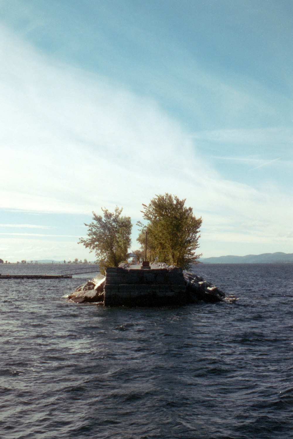 a group of trees on a rock in the middle of a body of water