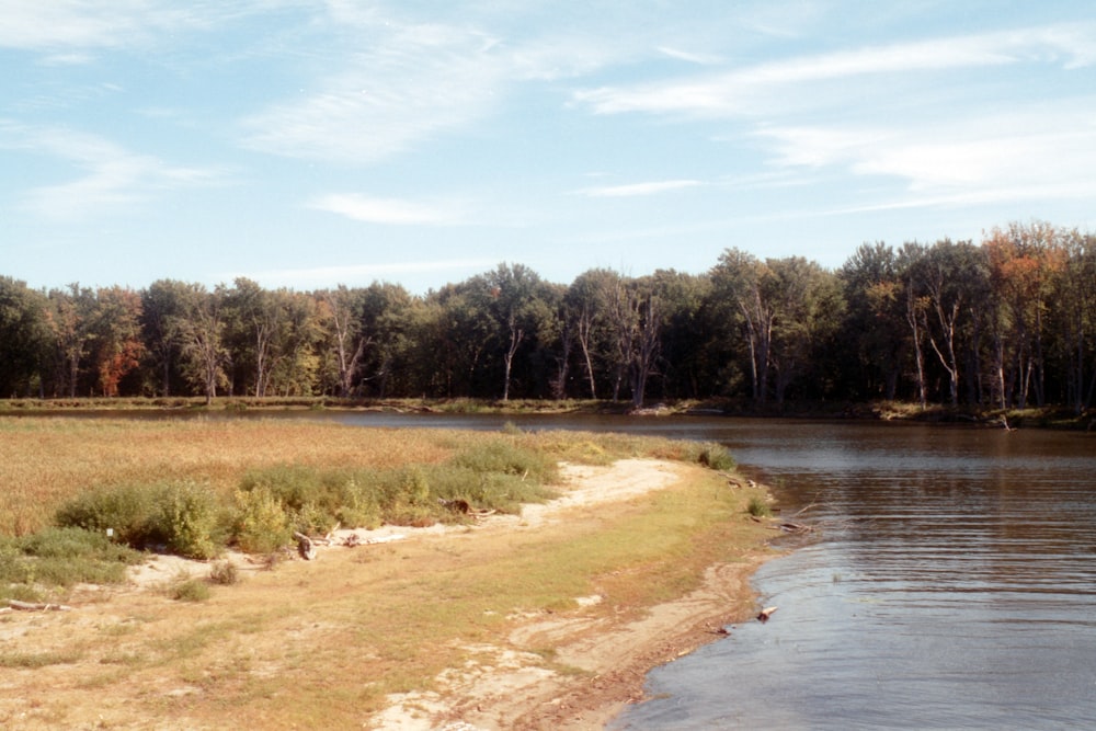 a river with a path and grass by it and trees in the background