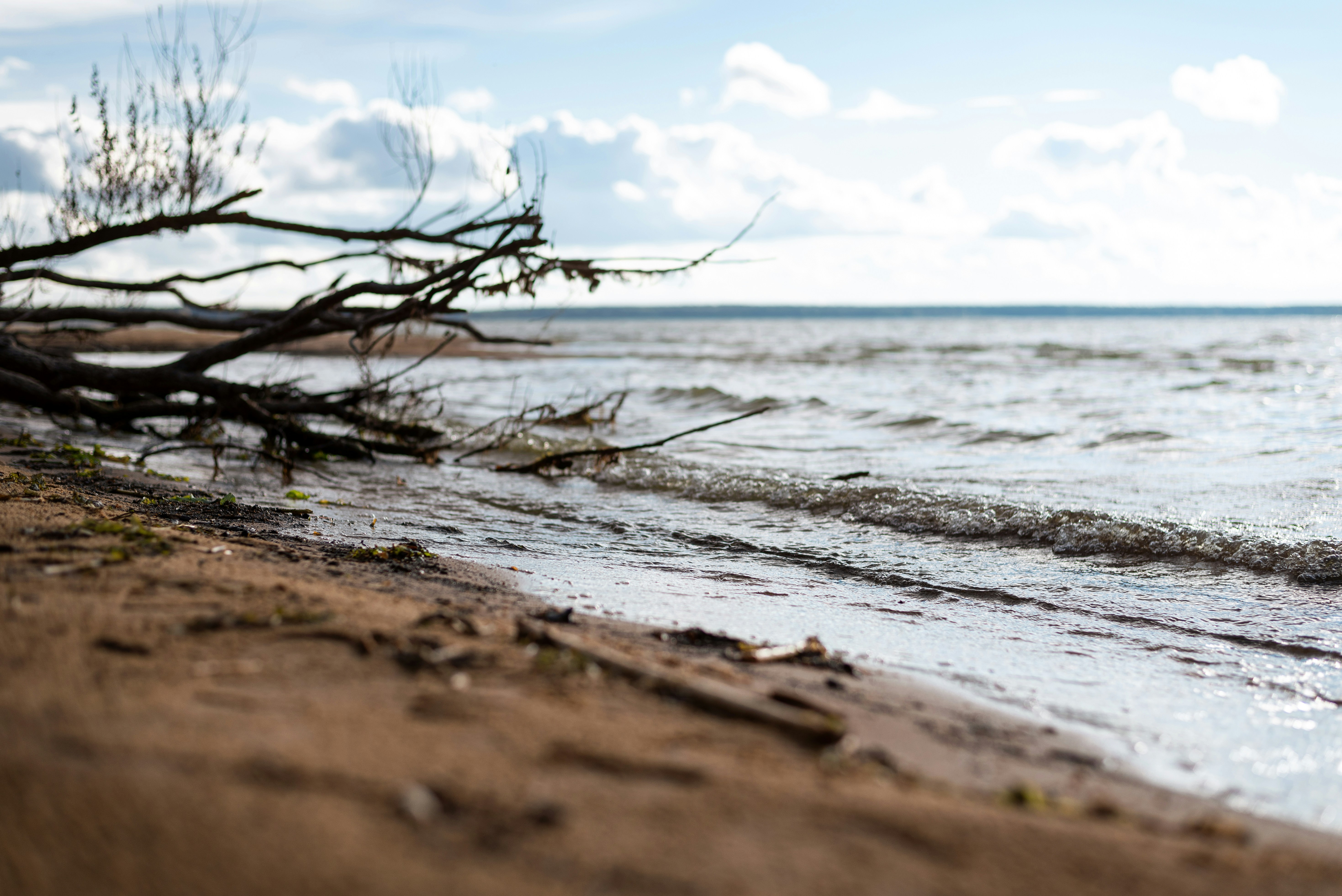 Photo by vadutskevich