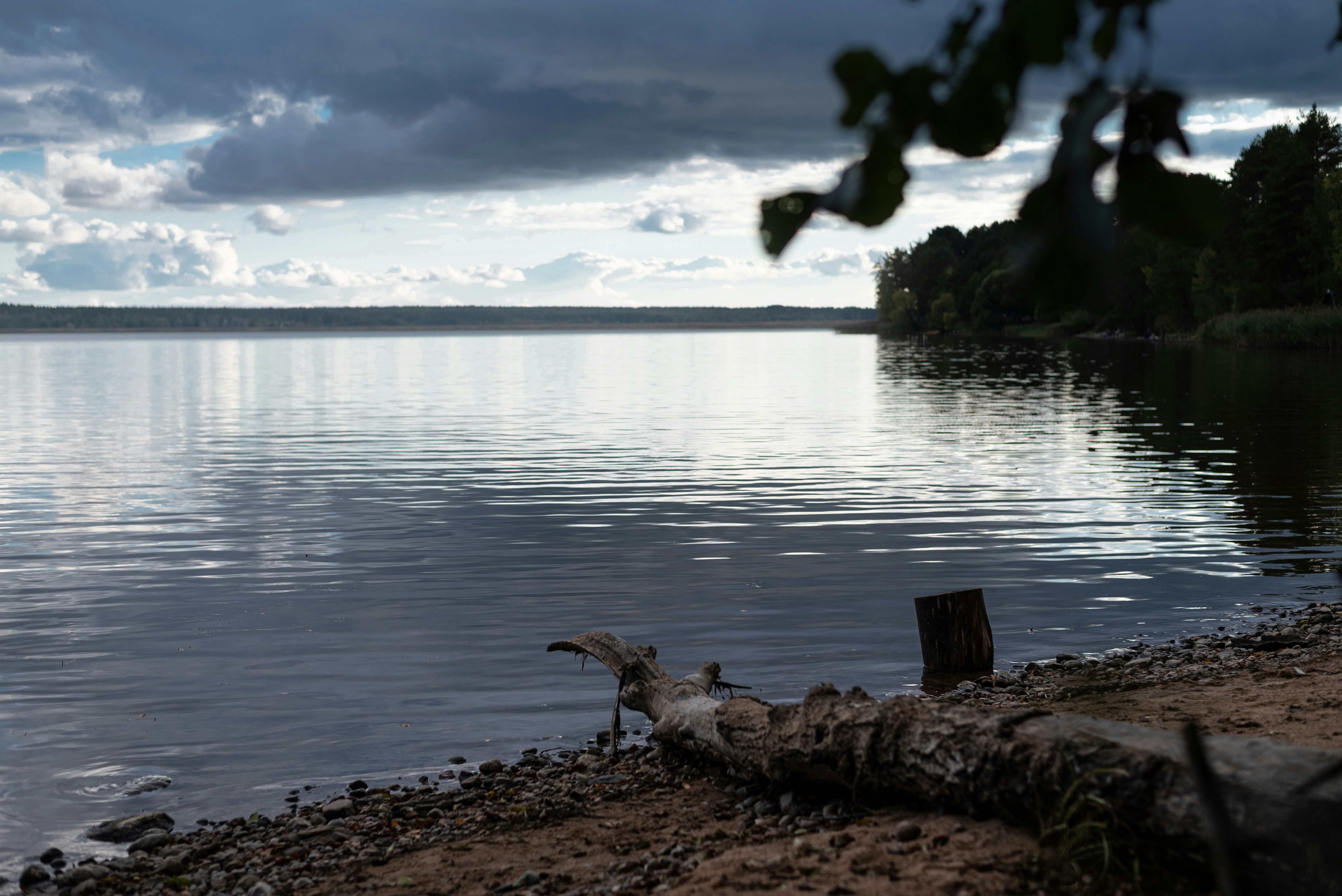 Photo by vadutskevich