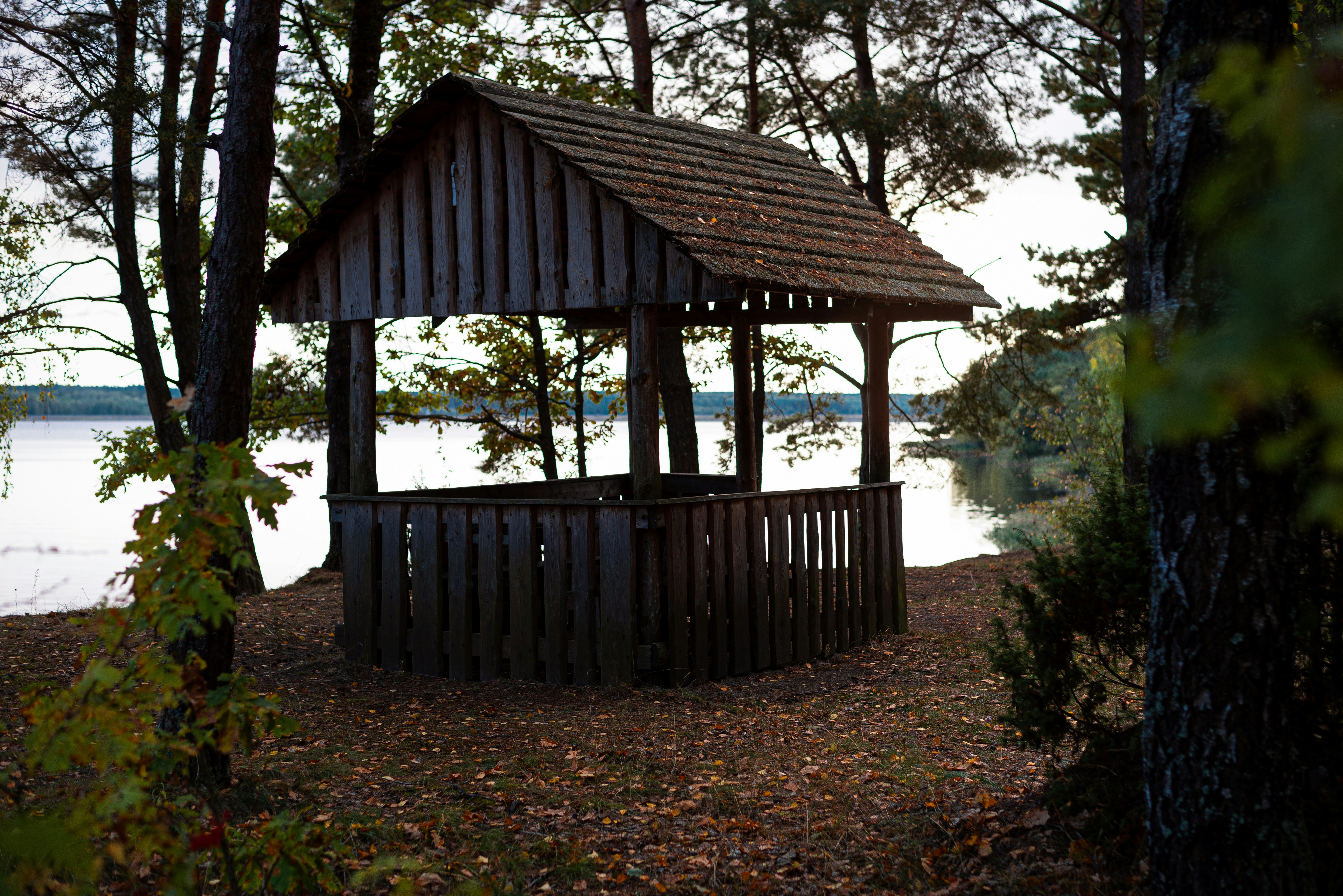 Photo by vadutskevich