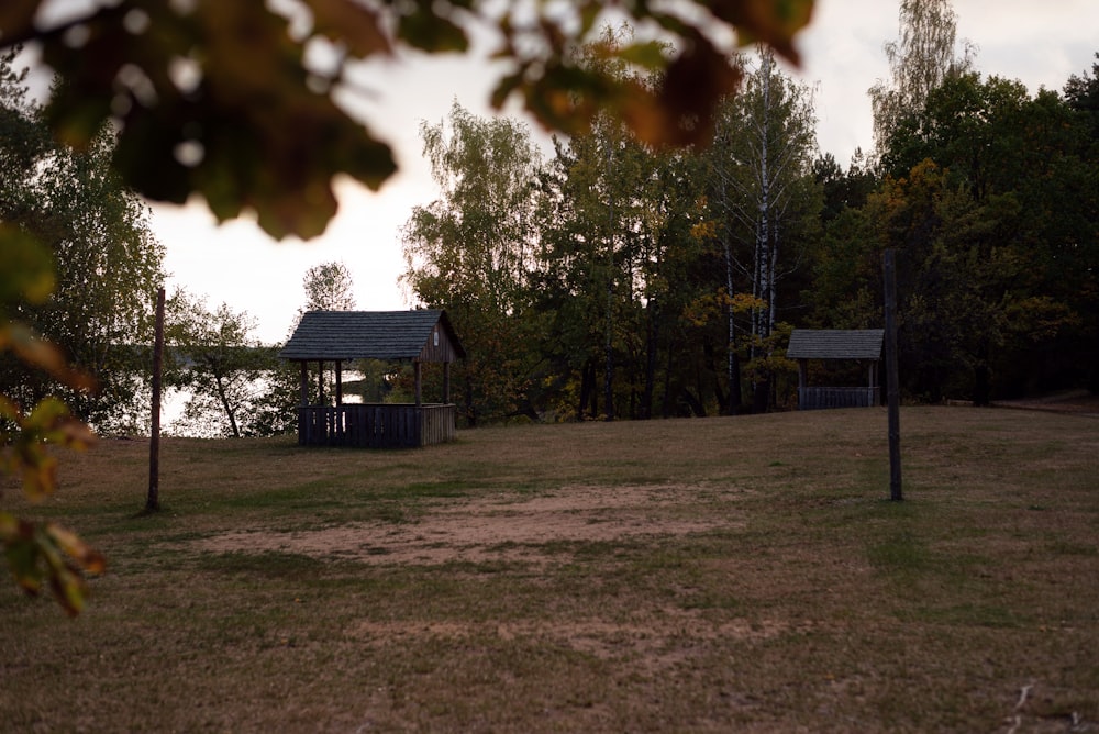 a grassy area with trees in the back