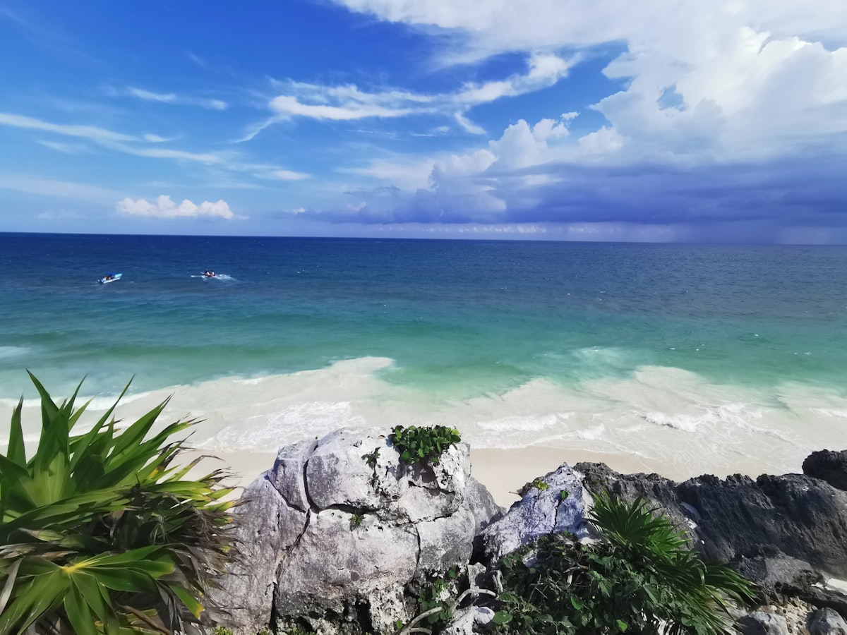 Tulum Pueblo — the rocky Caribbean shoreline with green tropical vegetation looking toward the Mayan ruins