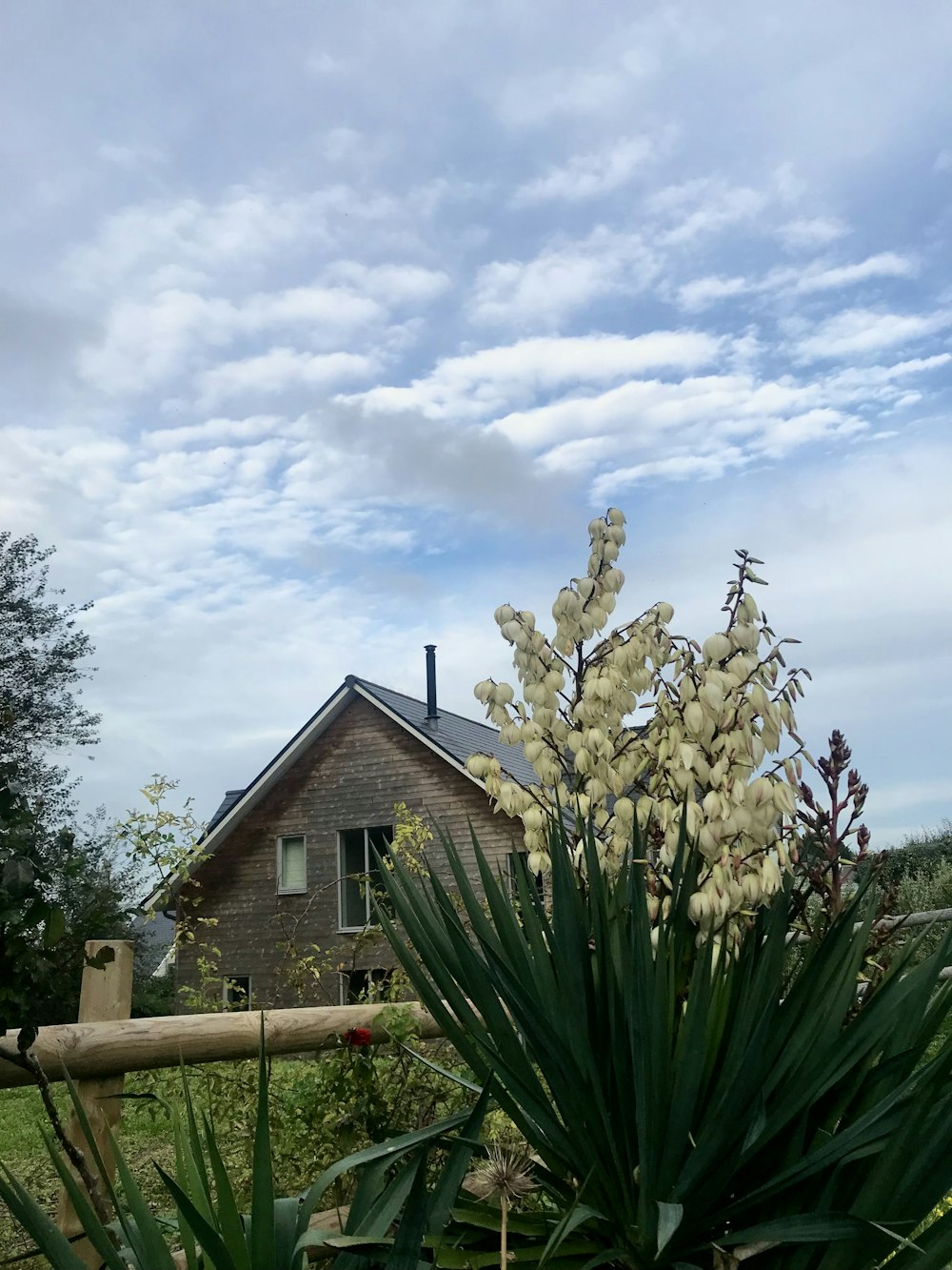 a house with a fence and plants in front of it