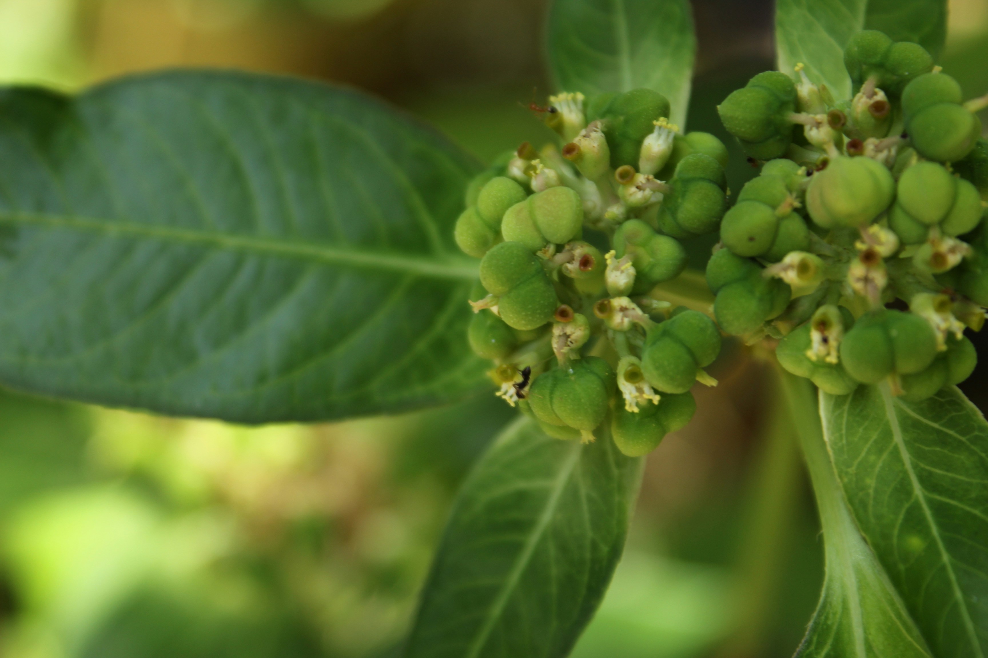 Photo by adnil_entertainment