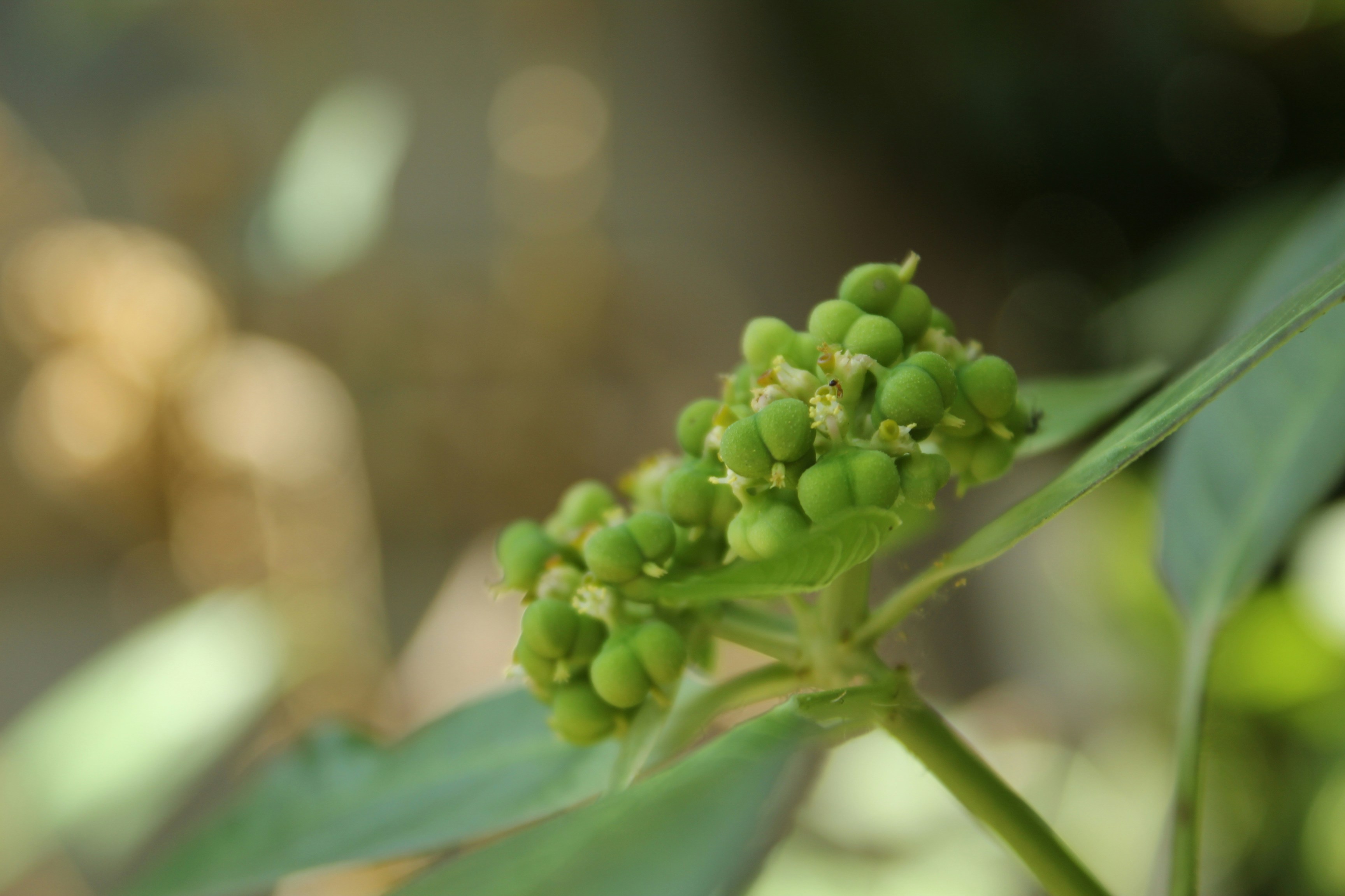 Photo by adnil_entertainment