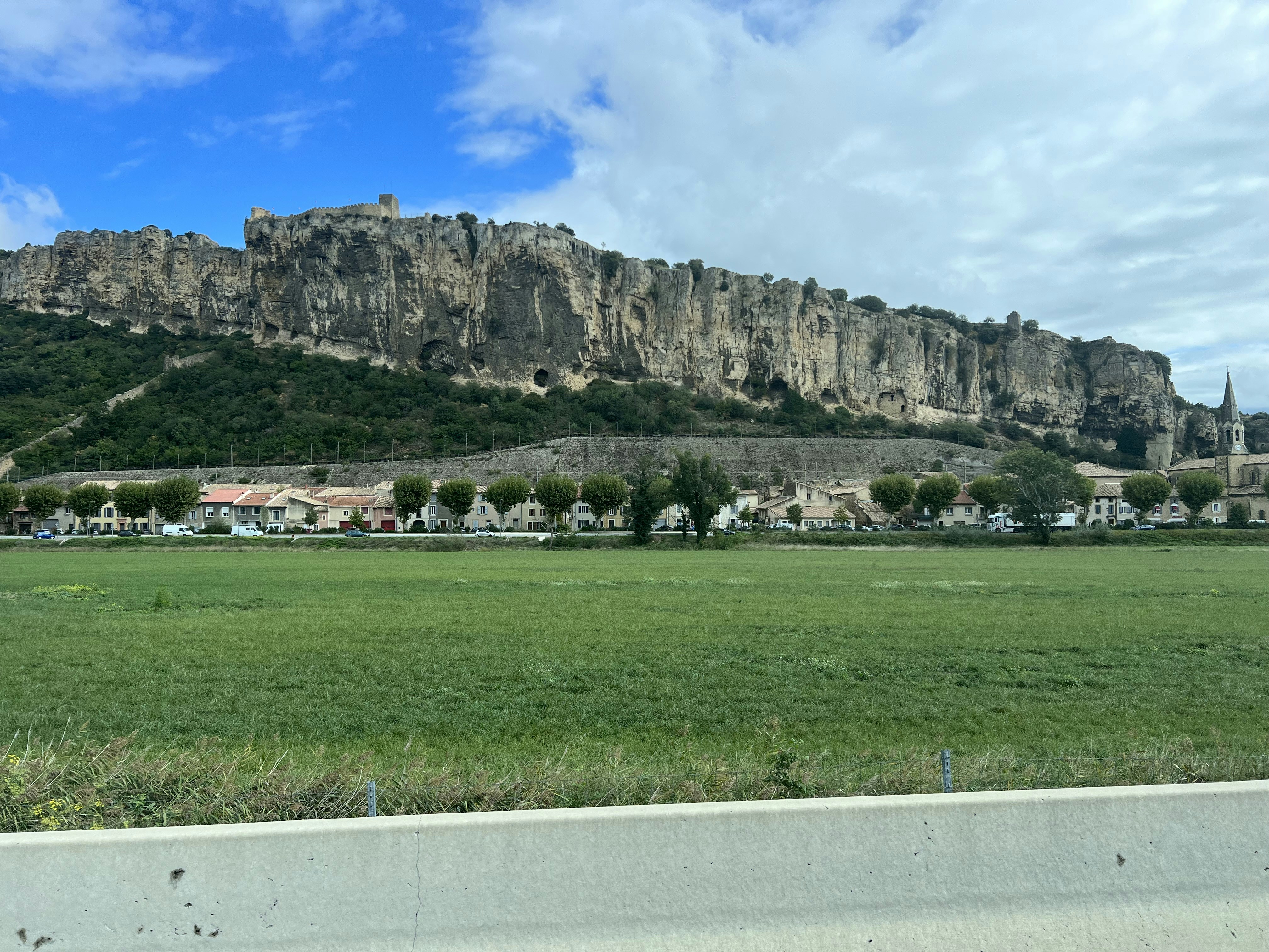 a large green field with a large rock mountain in the background