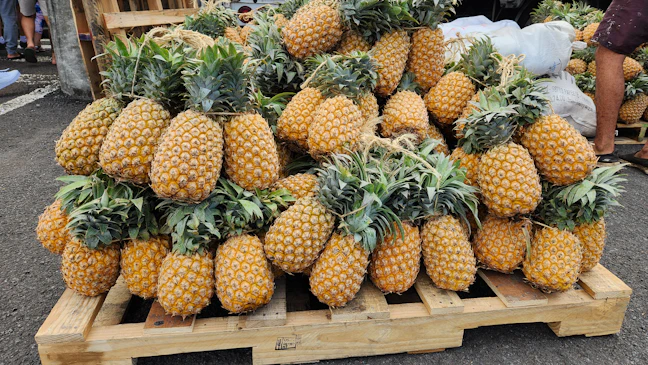 5-Day Papeete Budget Backpacking Itinerary