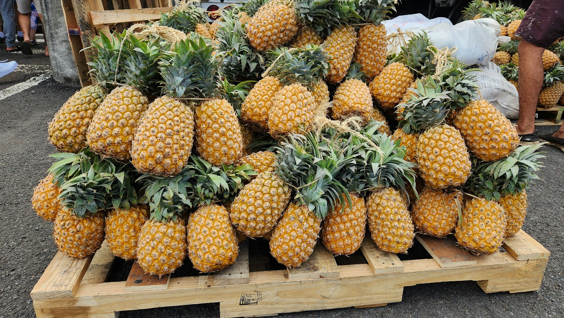 a table full of pineapples