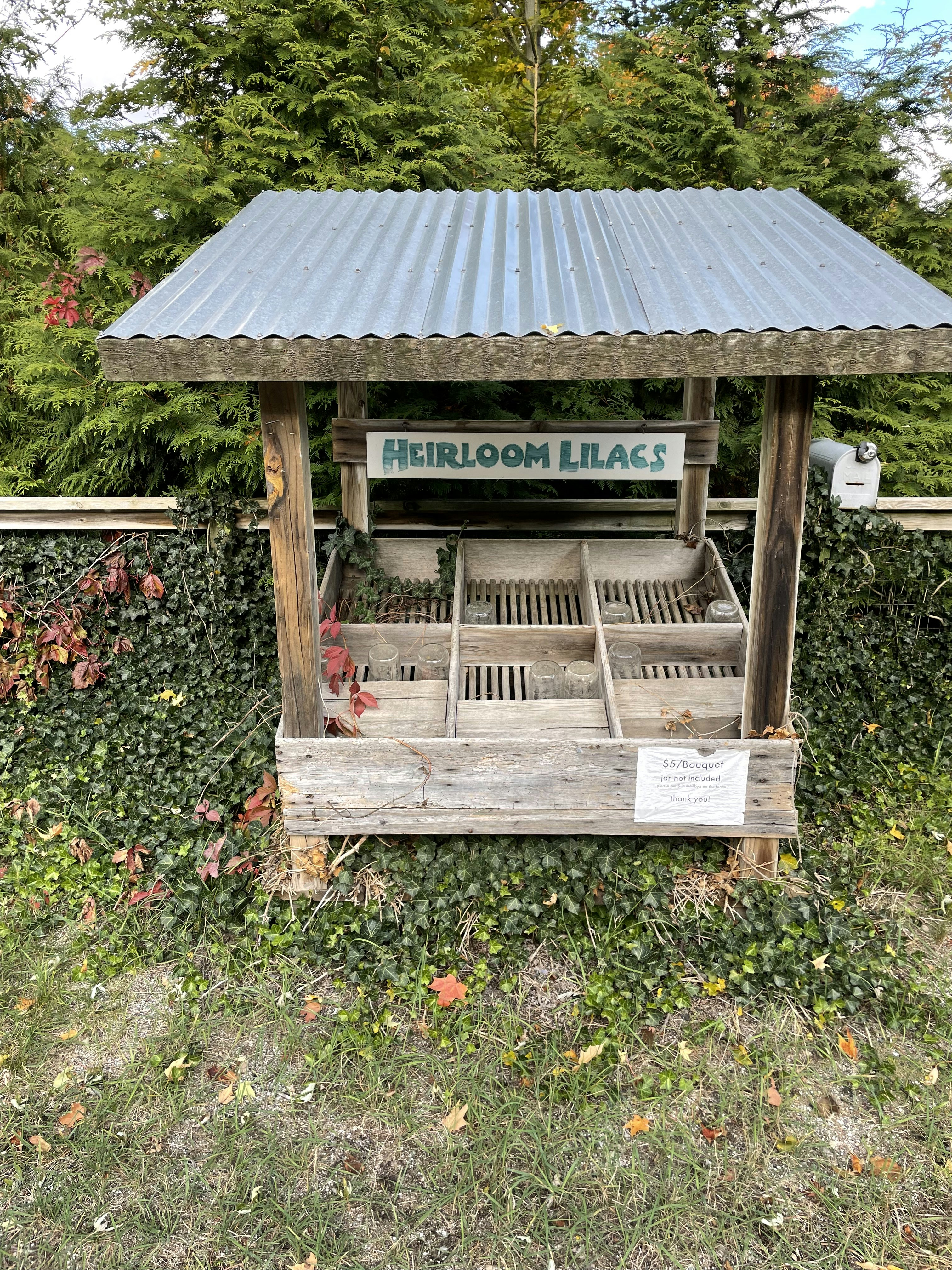 Seedbox Showdown 2026: Performance, Privacy, and Cost for Indie Distributors