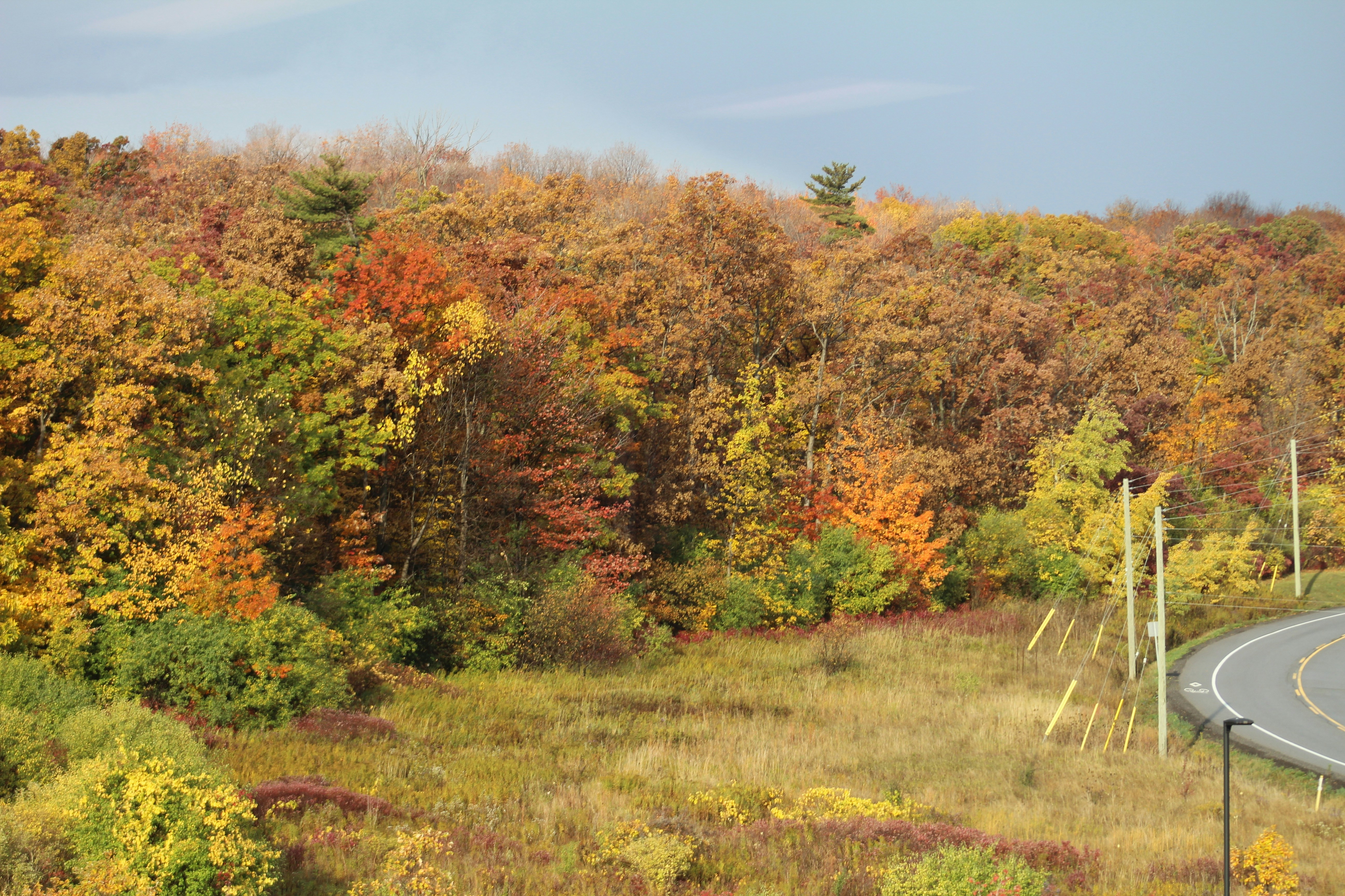 Photo by rubberduckys96