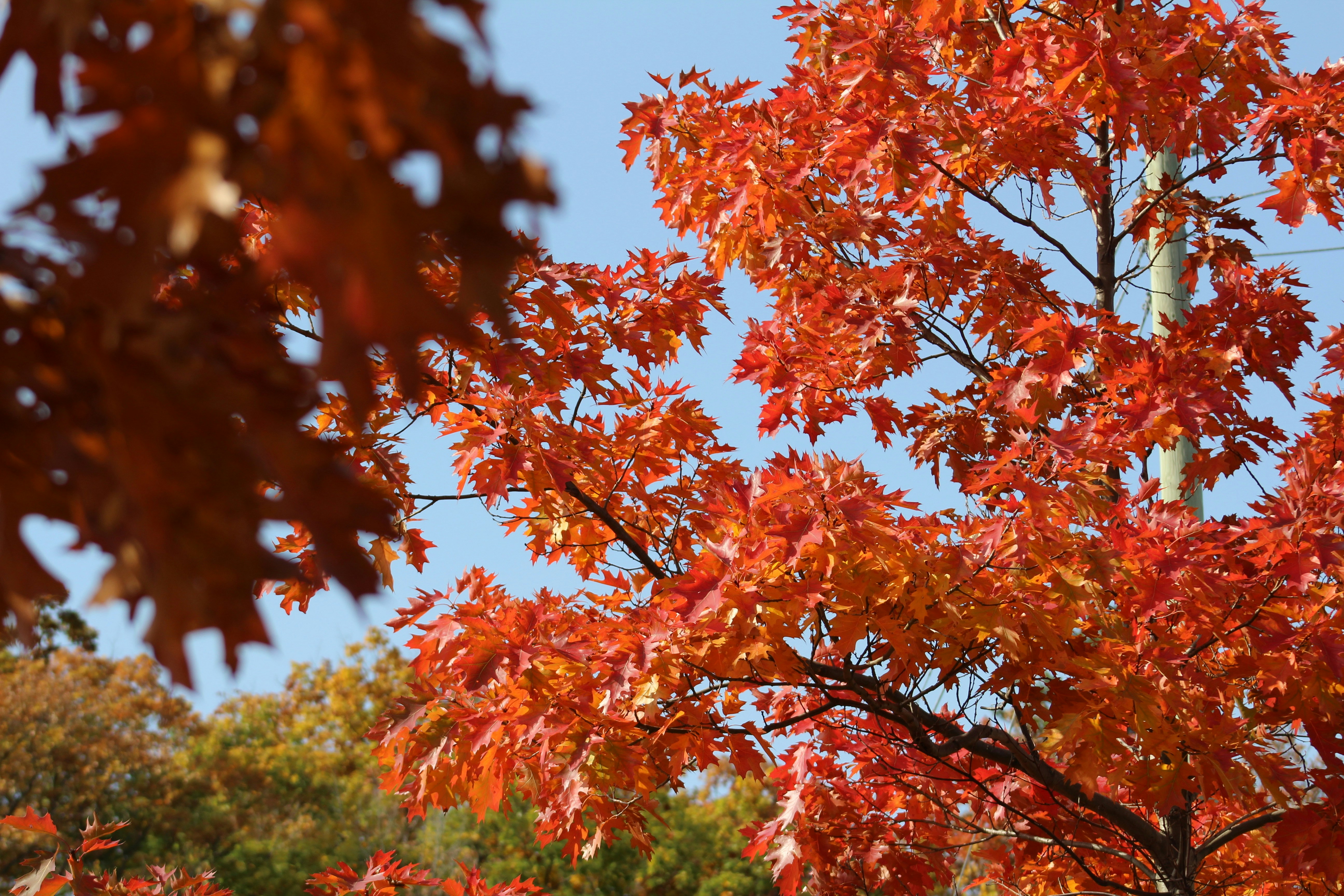 Photo by rubberduckys96