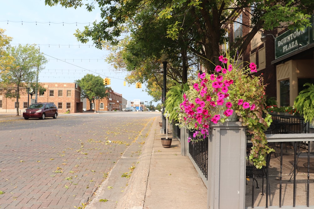 a tree with flowers on it next to a street