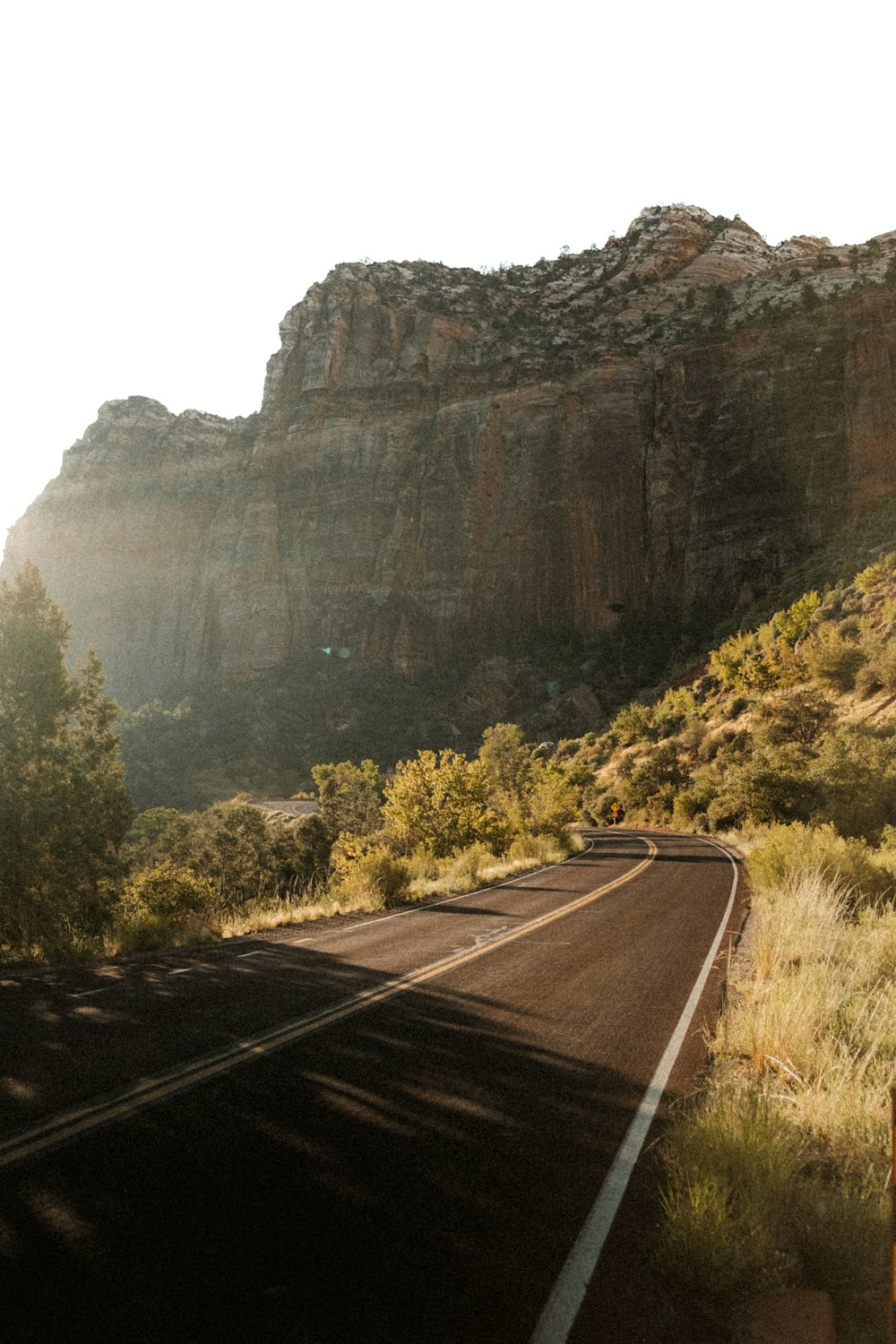 a road with trees and mountains in the background