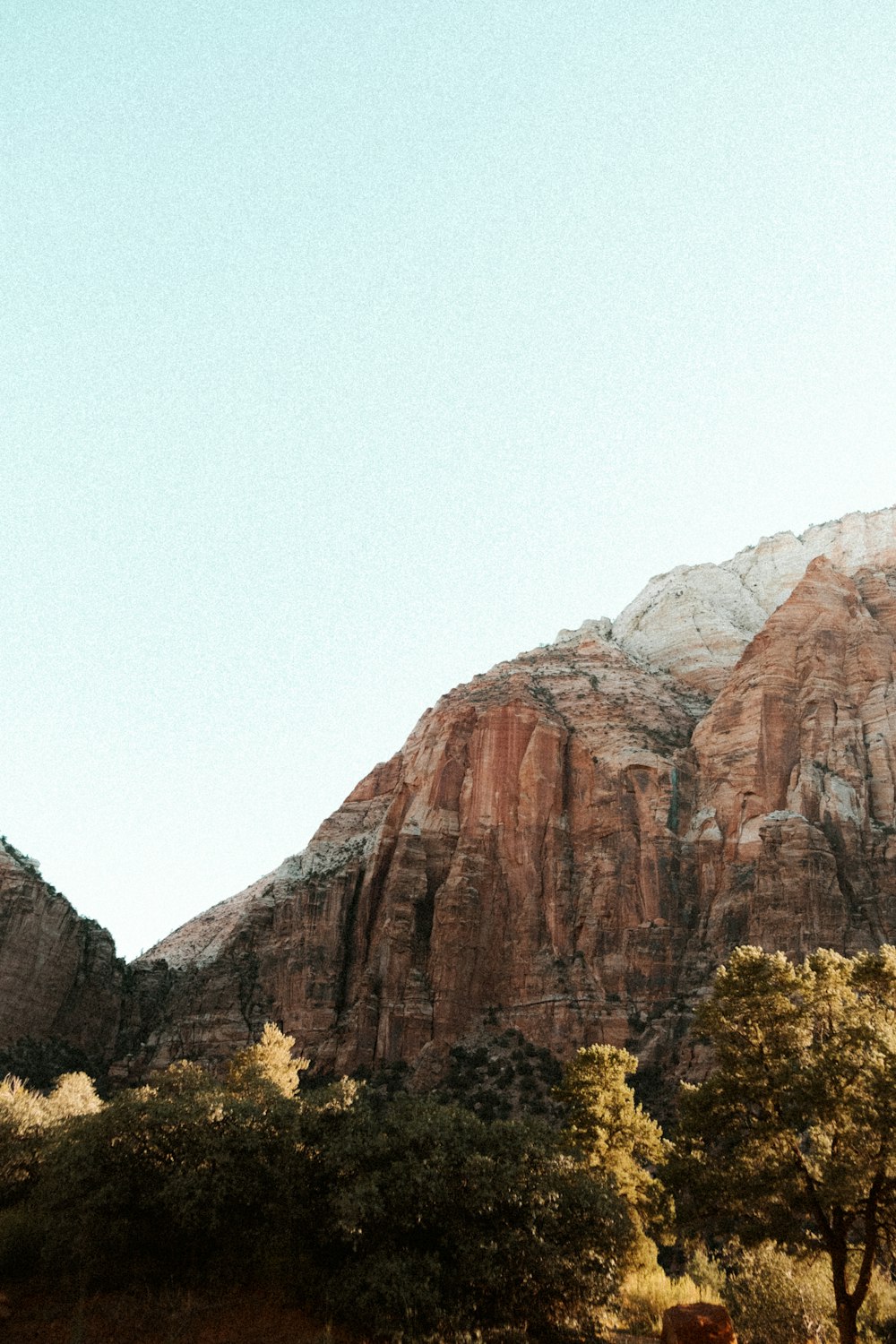 a rocky mountain with trees