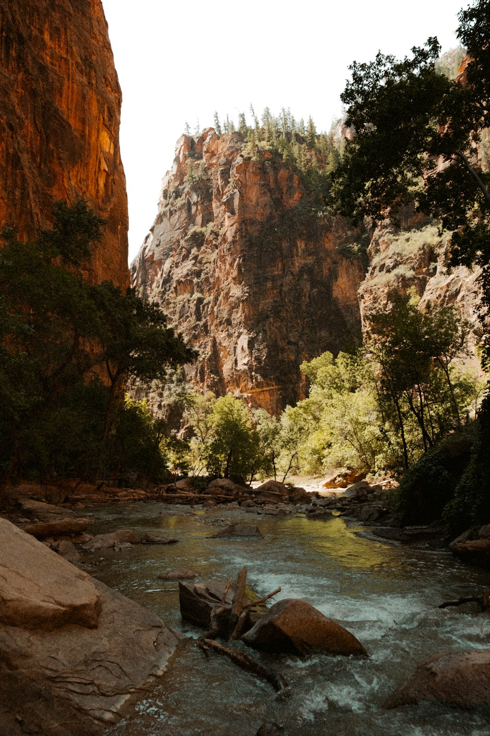 Un río que atraviesa un cañón