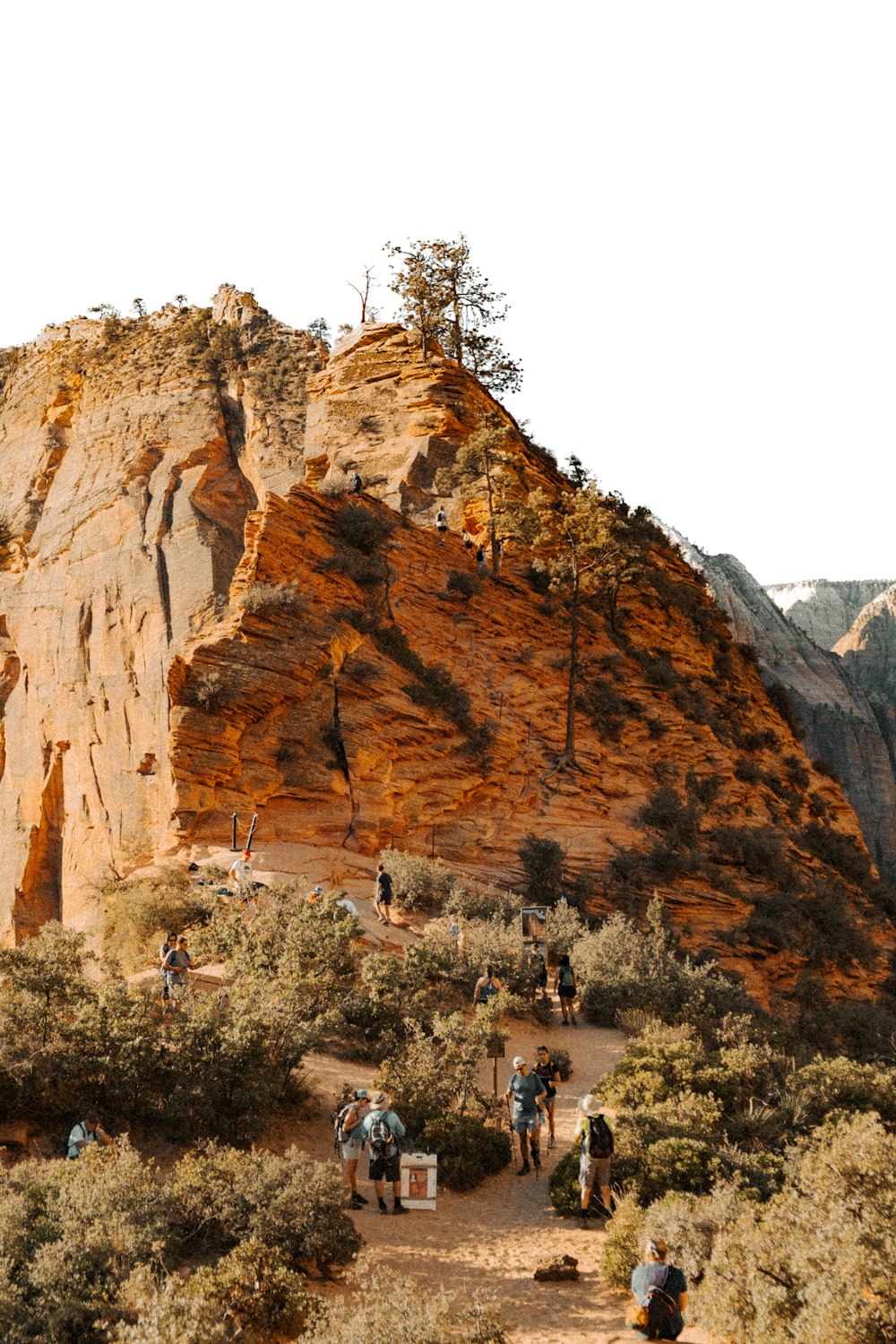 a group of people walking on a path between a rocky cliff