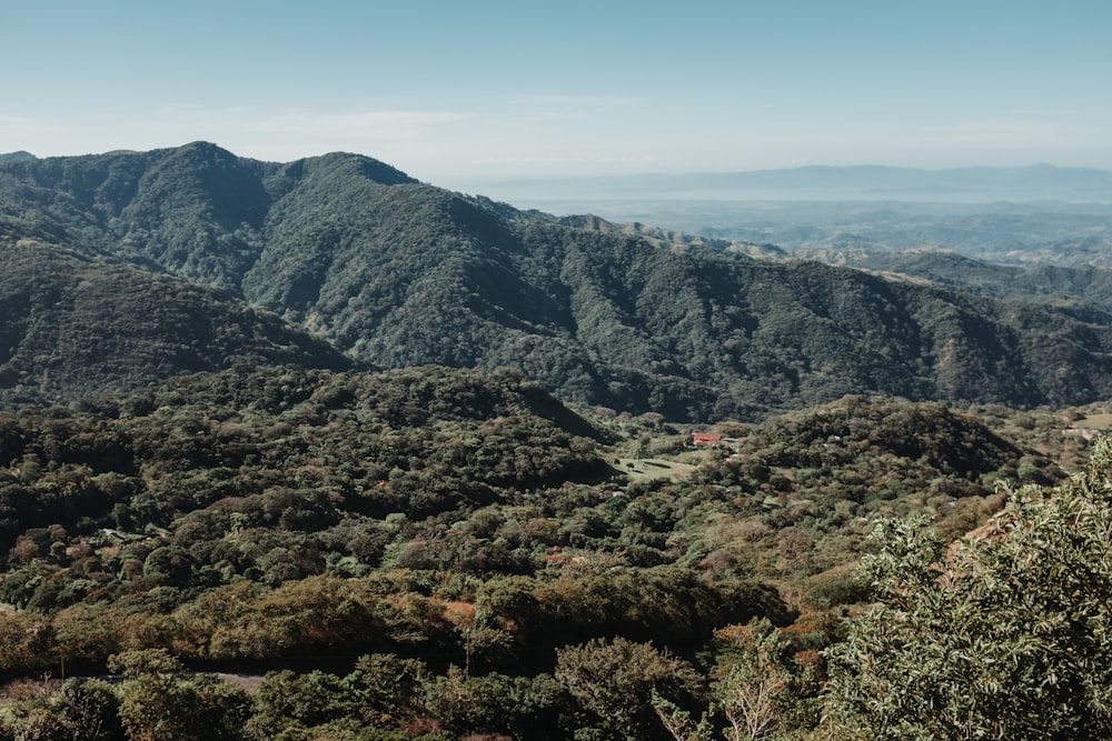 a landscape with trees and hills