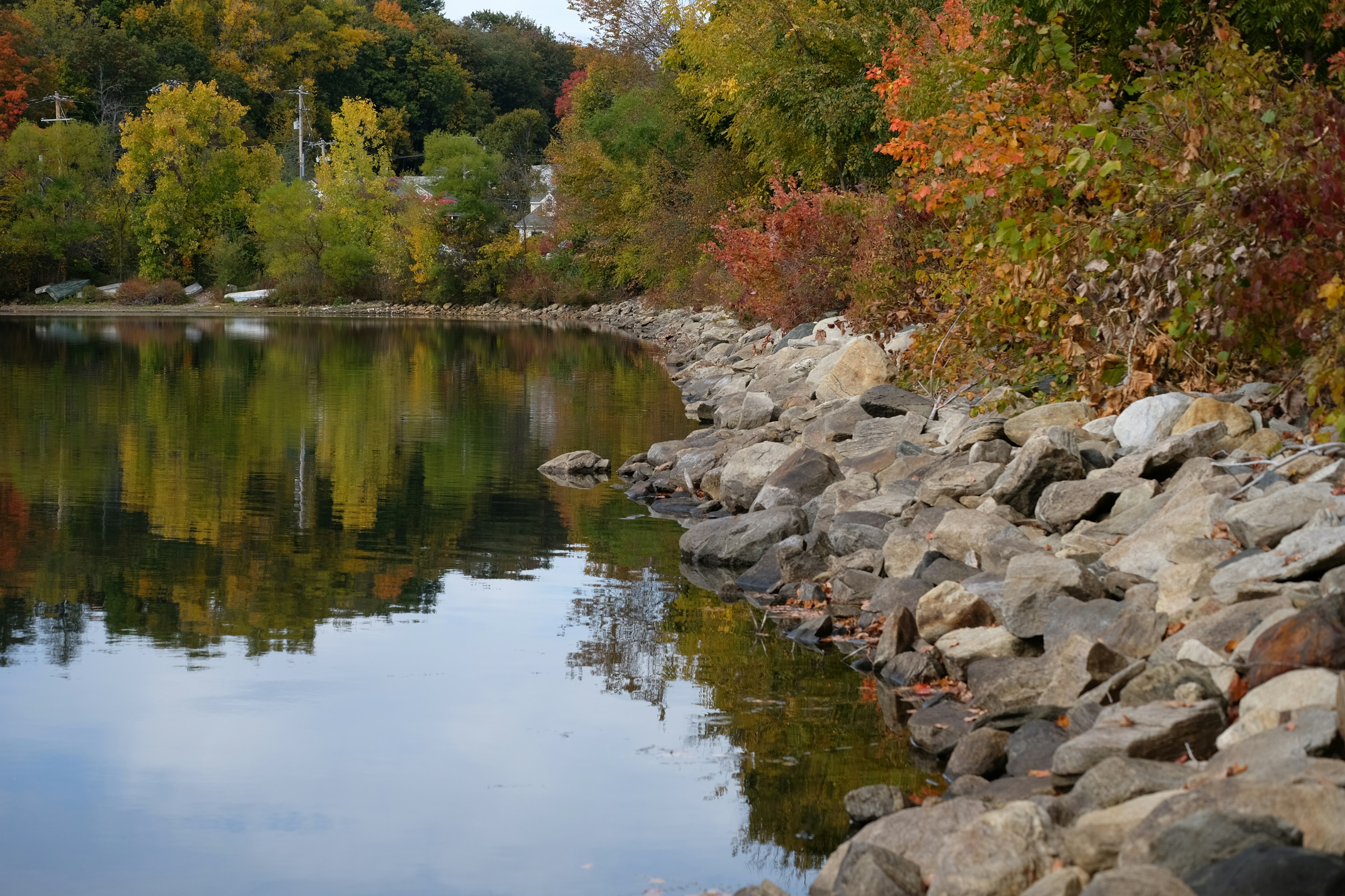 a lake surrounded by trees