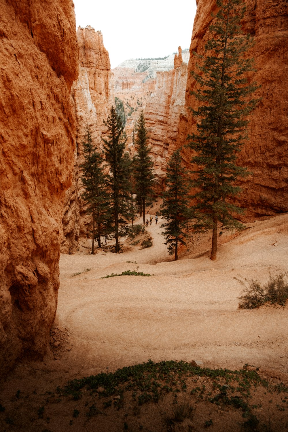 a dirt road between rocky mountains