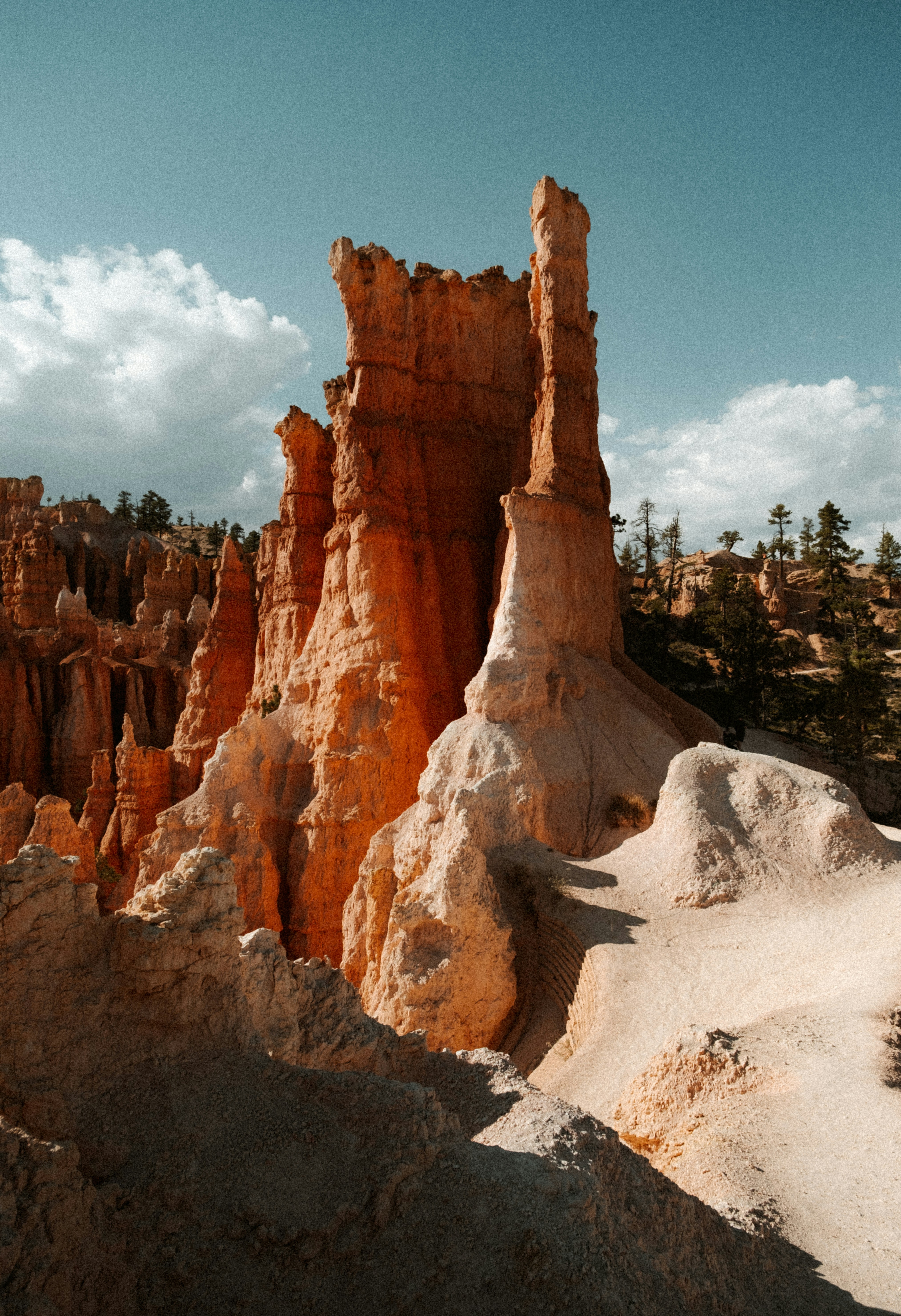 Photo by codyhiscox