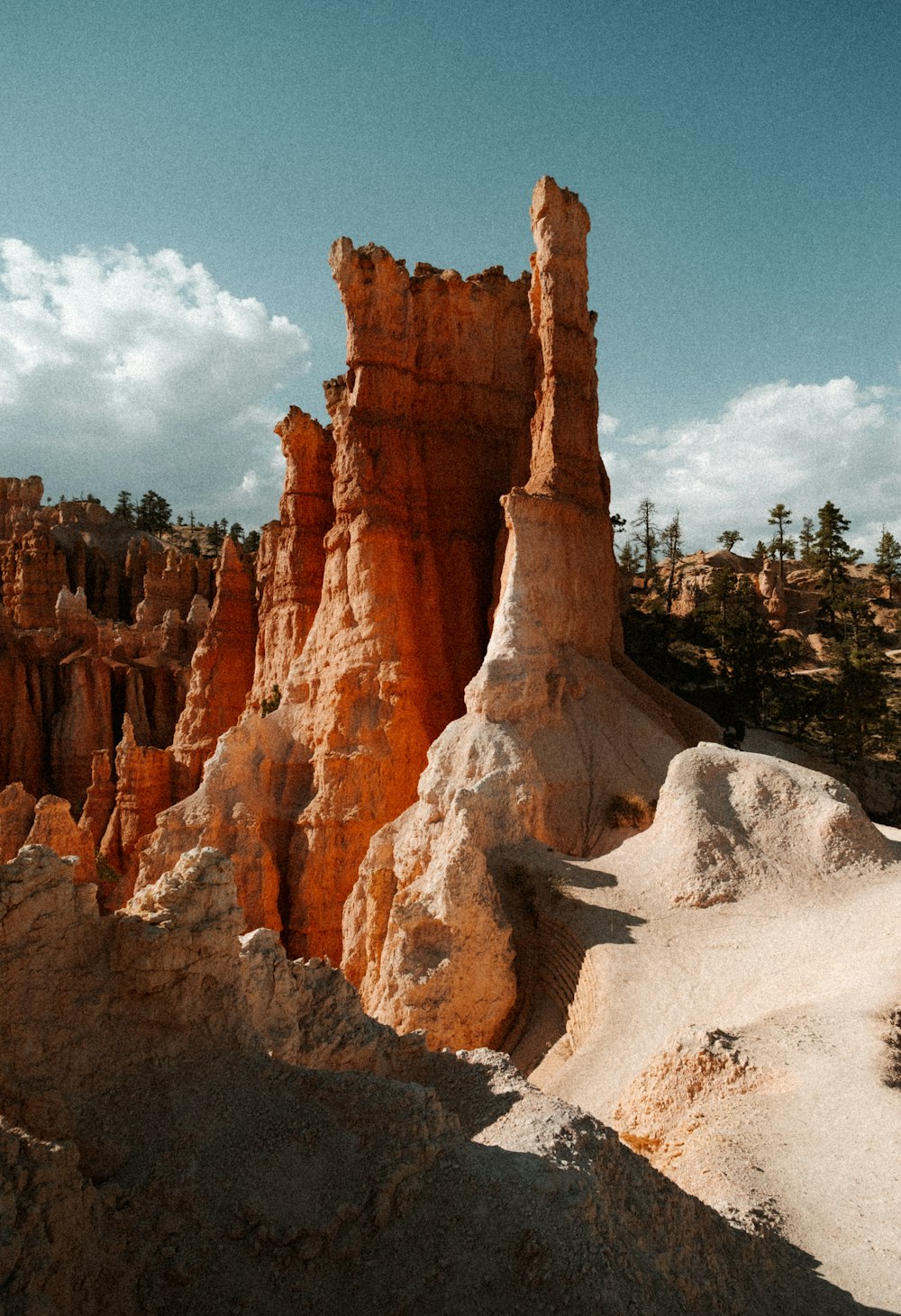 a rocky cliff with trees