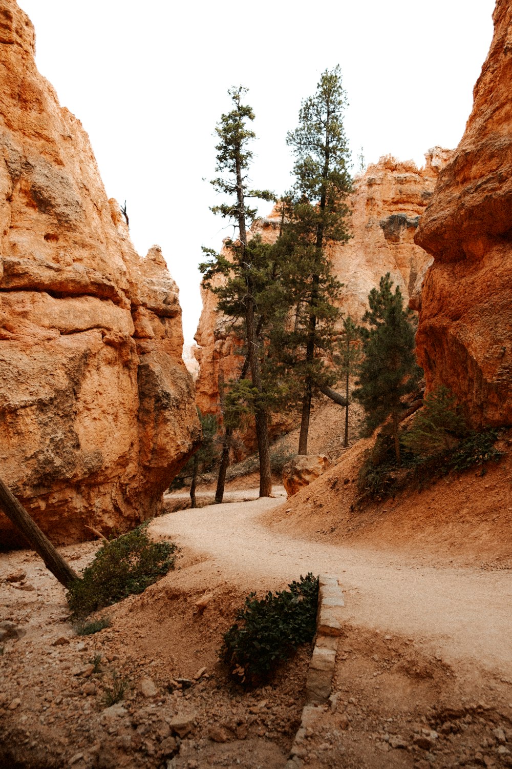 a dirt road between rocky cliffs