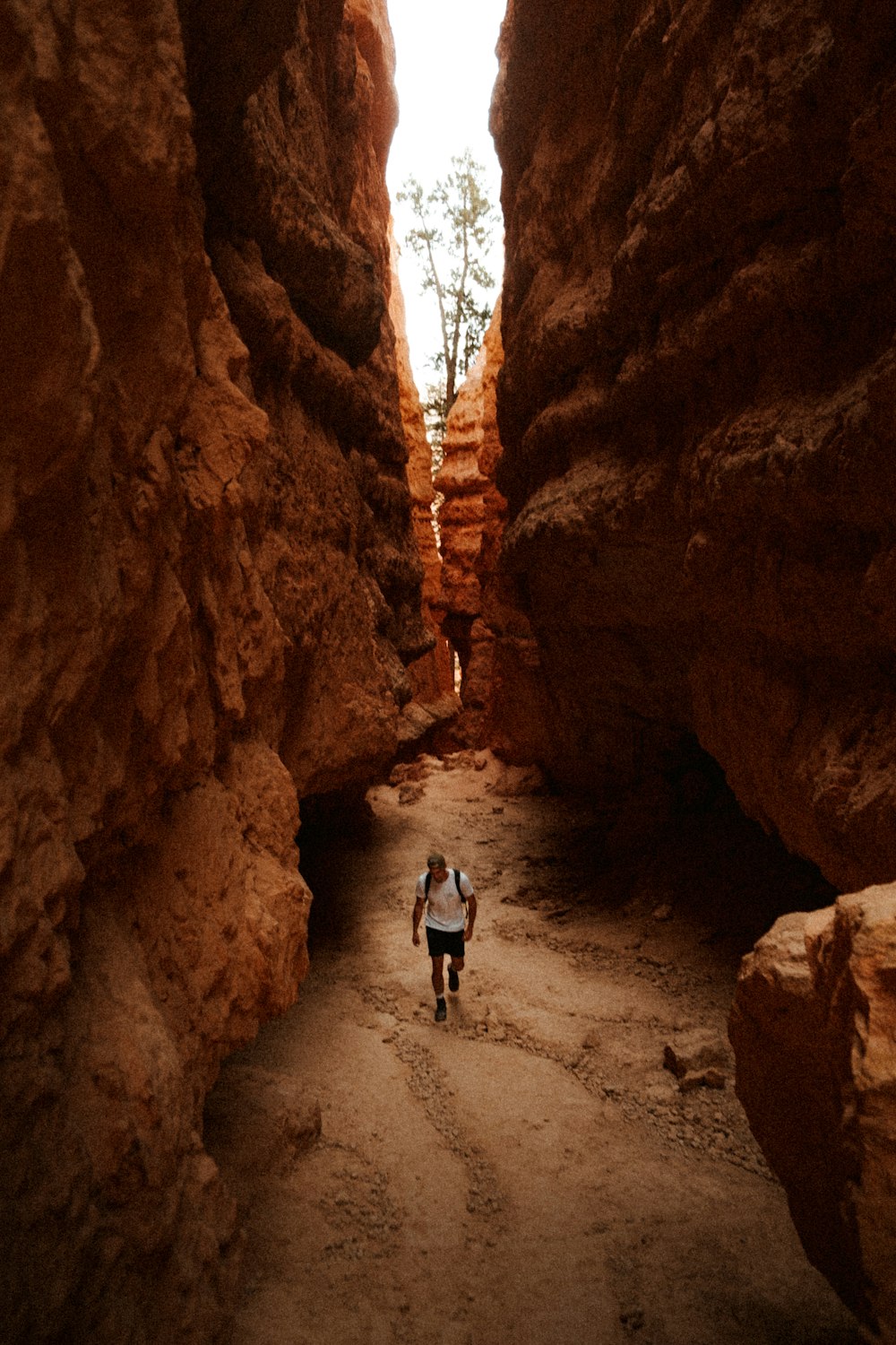 a person walking through a canyon with Petra in the background