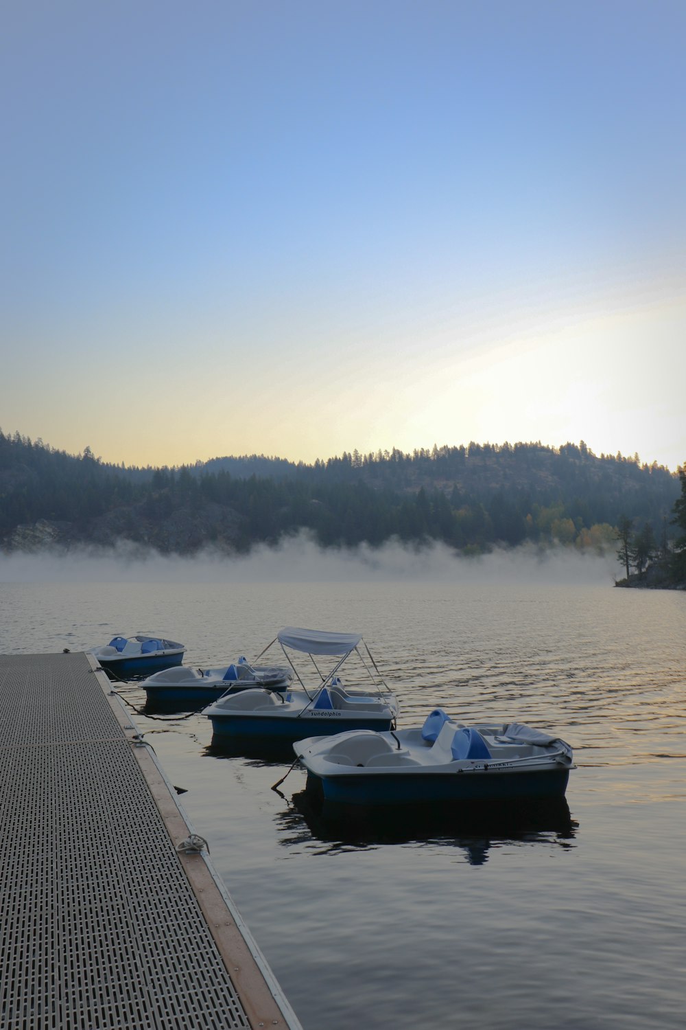 boats on the water