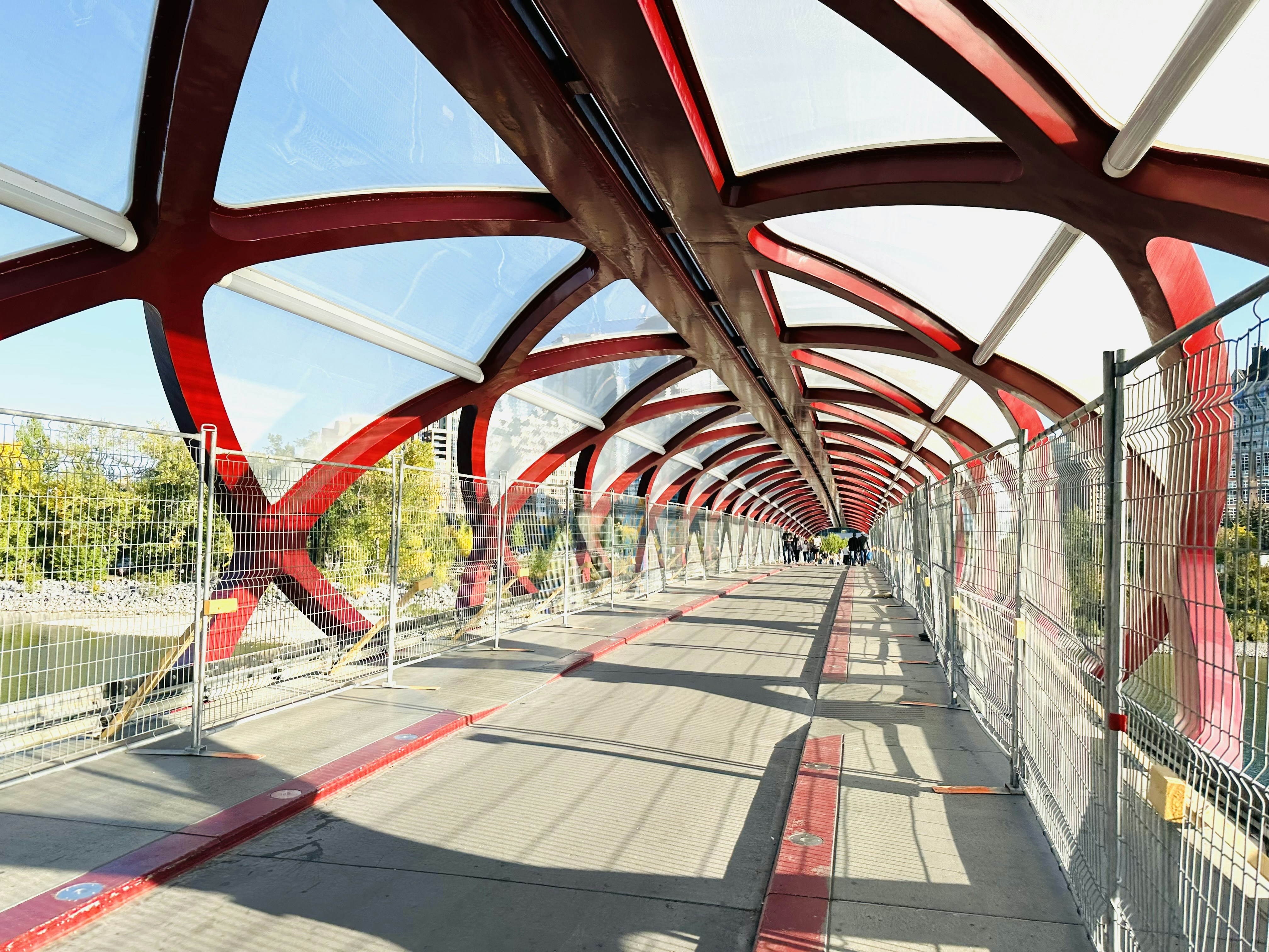 Photo by blue_prints