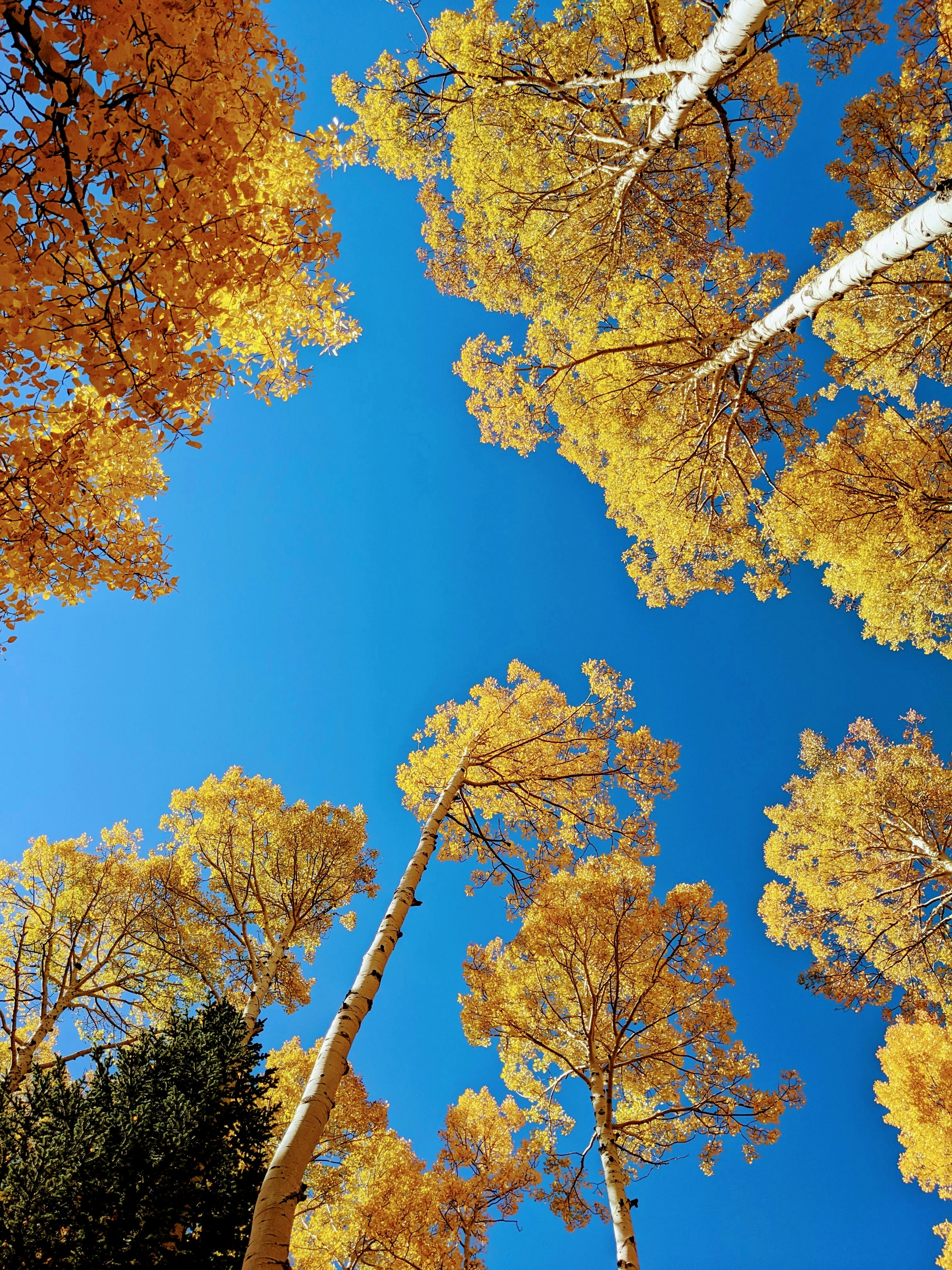 Photo by brinkmerjer