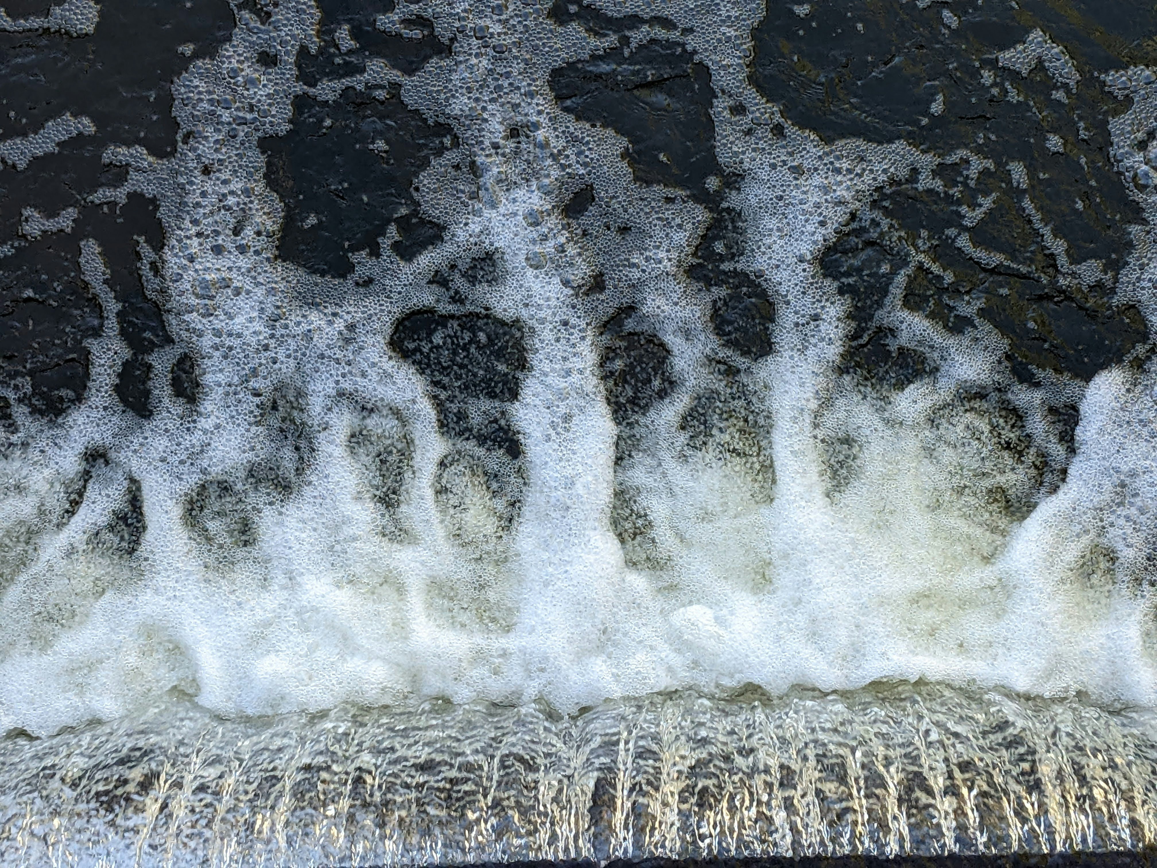 Photo by brinkmerjer