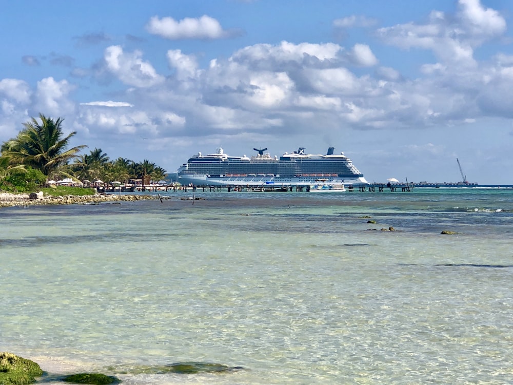 a cruise ship in the water