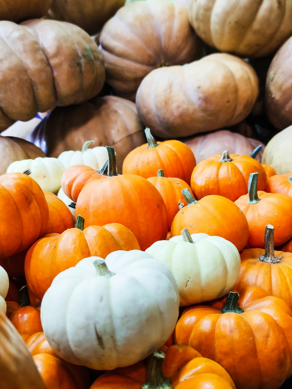 a pile of pumpkins