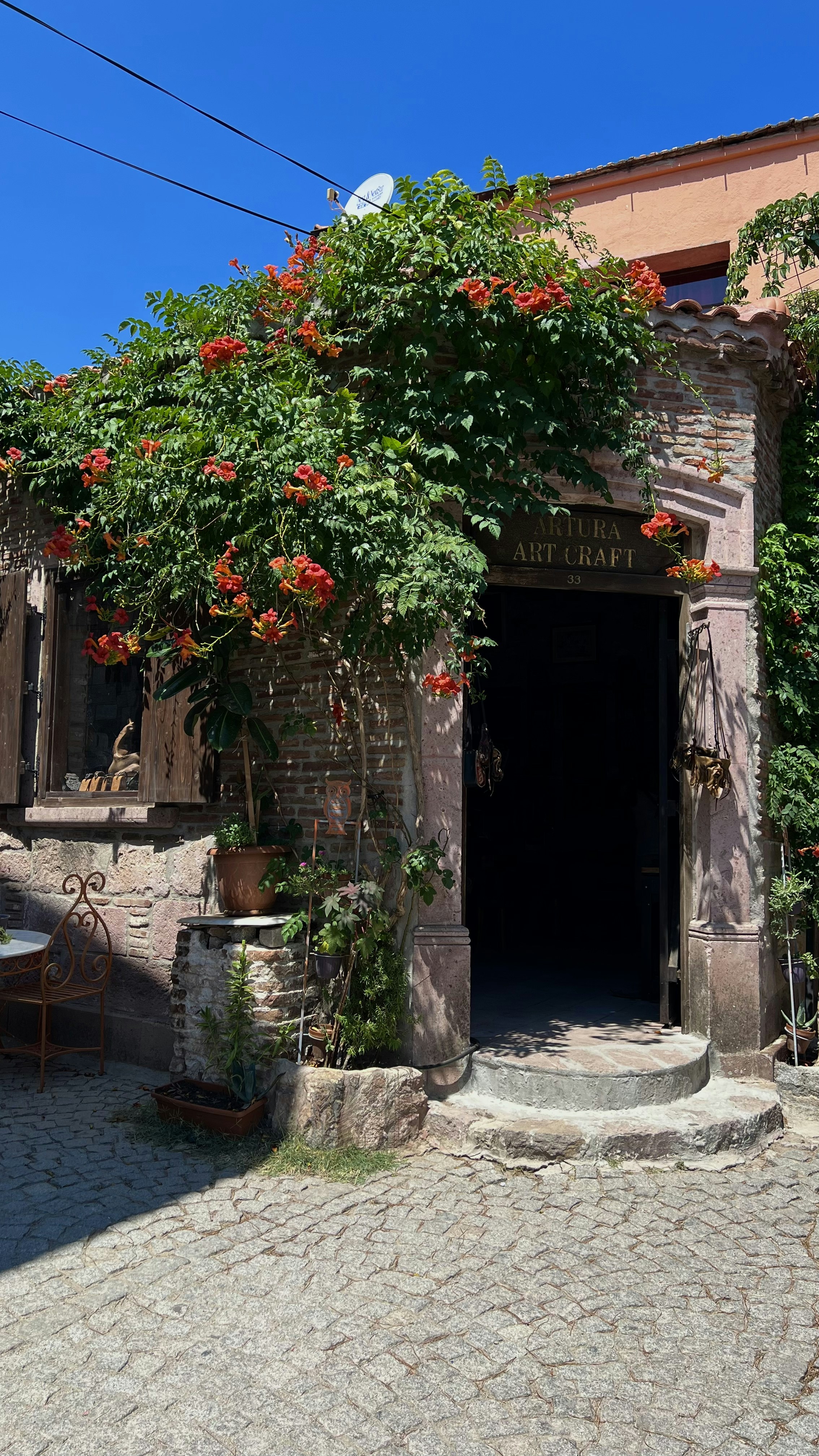 Photo by melselamoglu