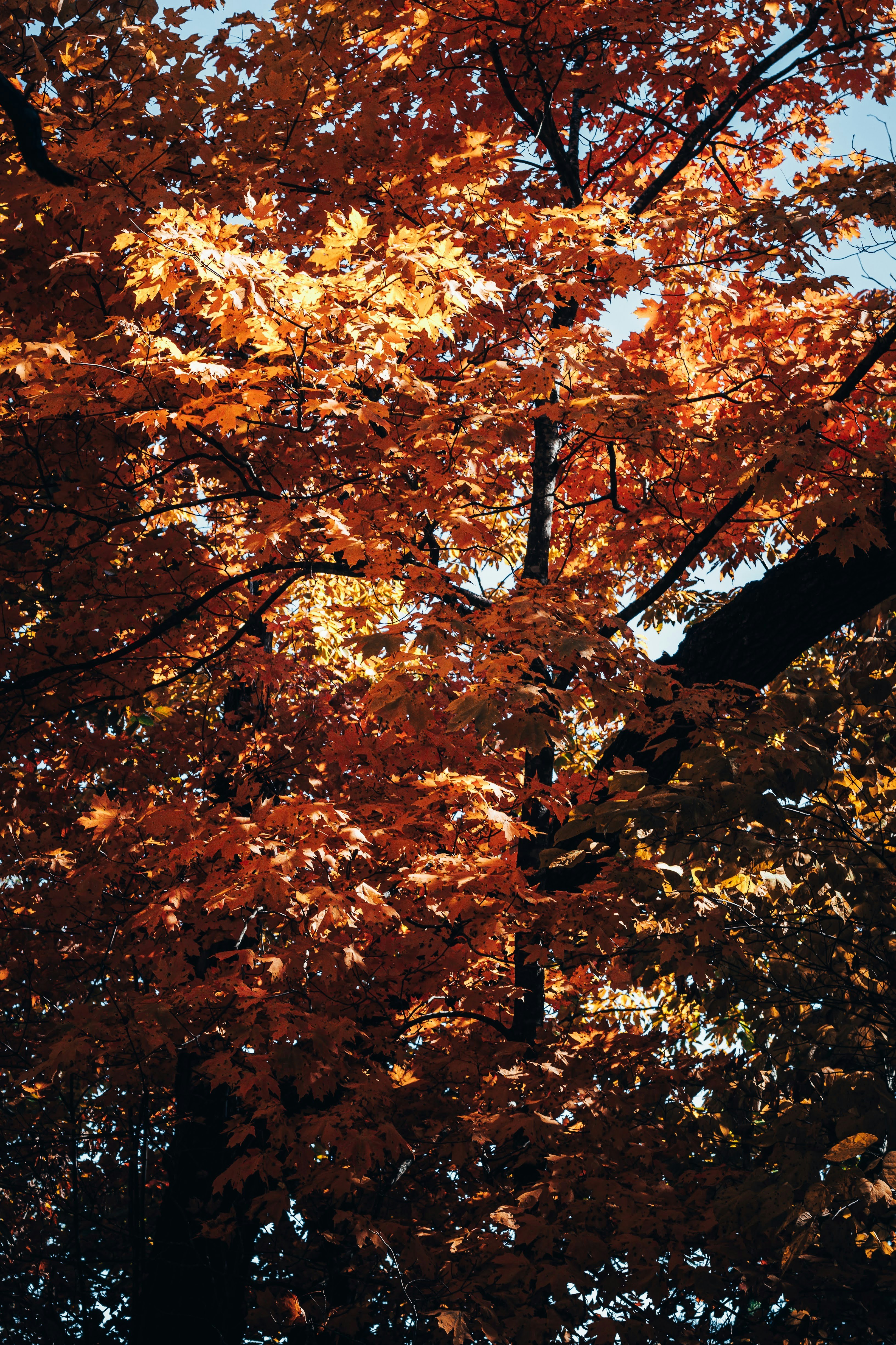 Photo by brice_cooper18