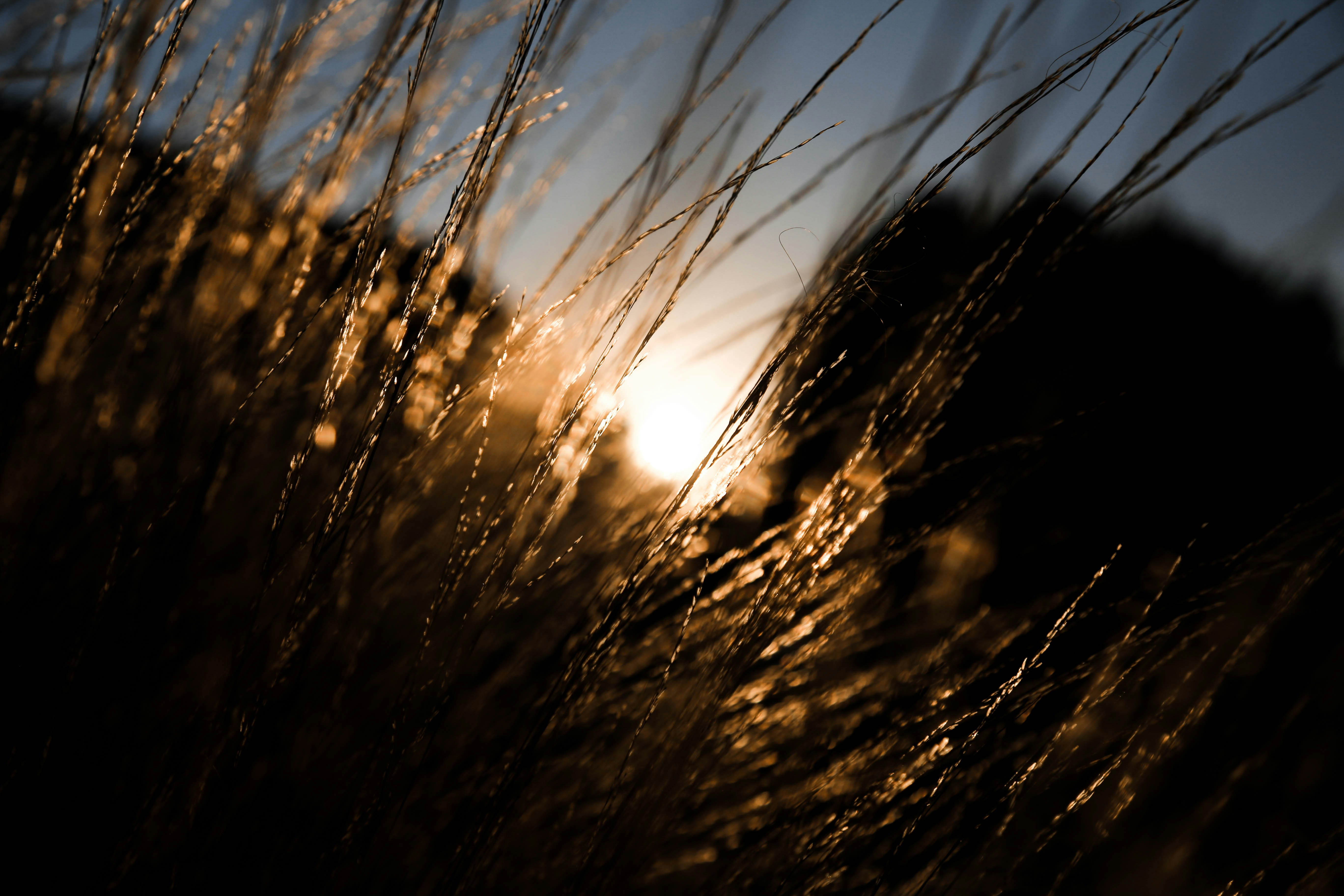 Photo by damien_schneider