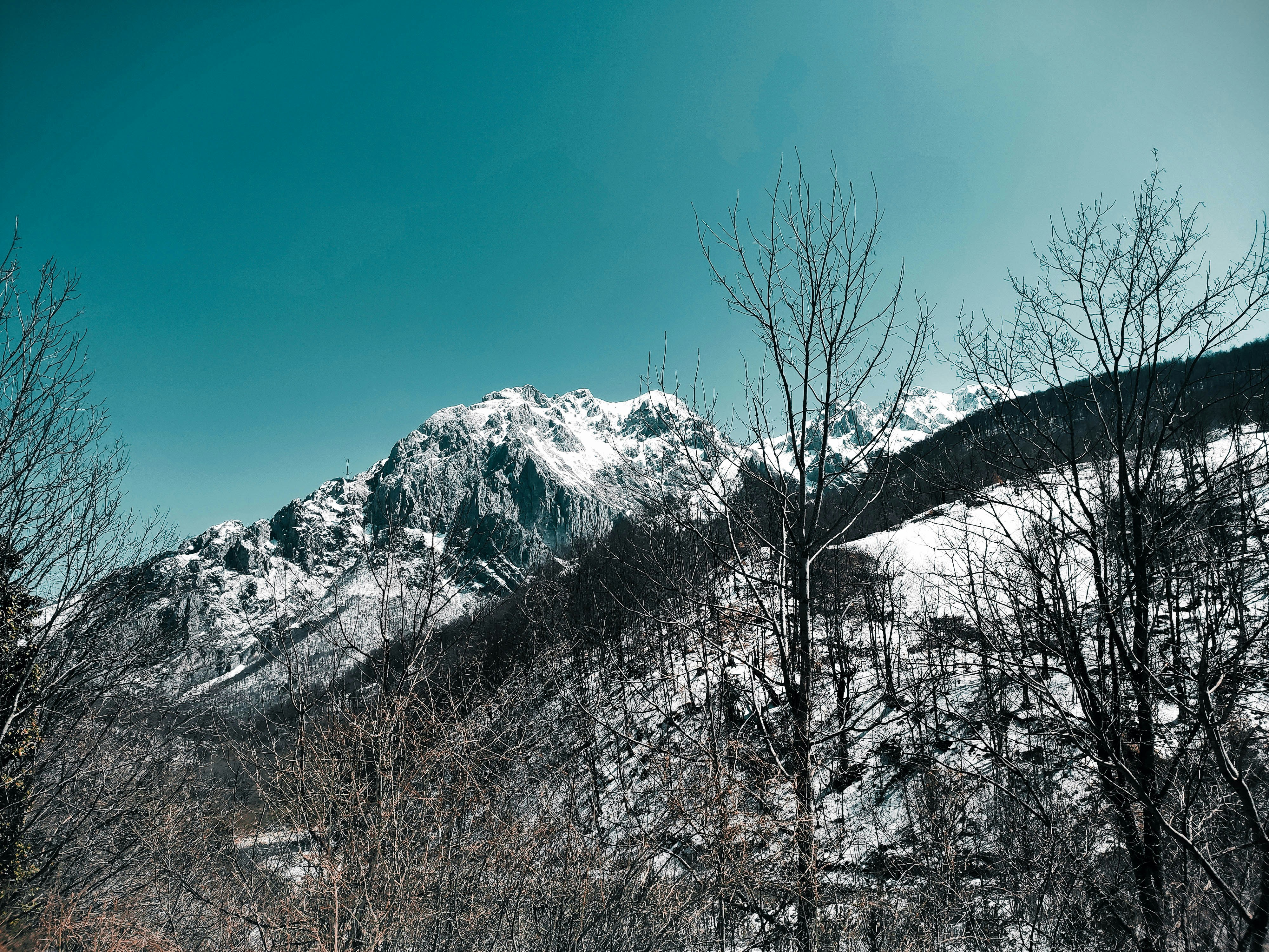 Photo by damien_schneider