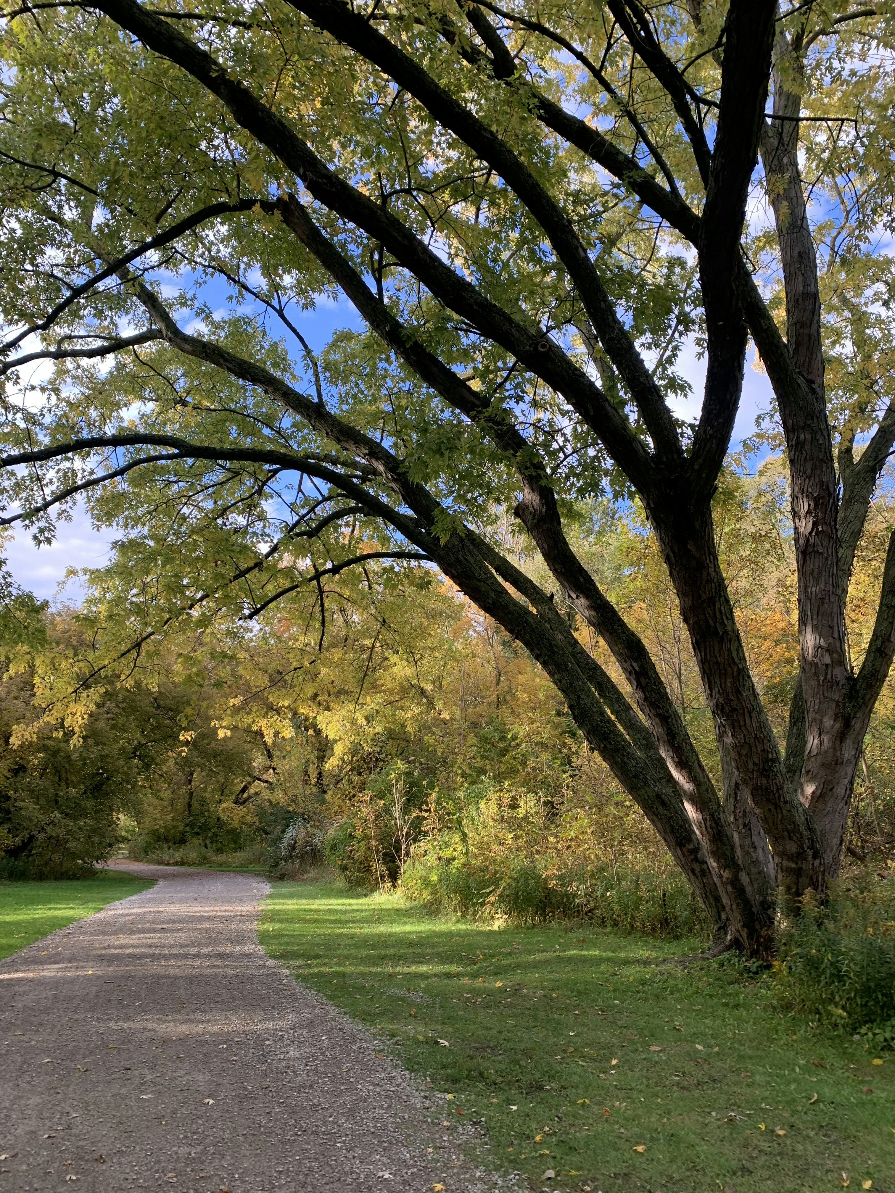 Photo by jemimautami