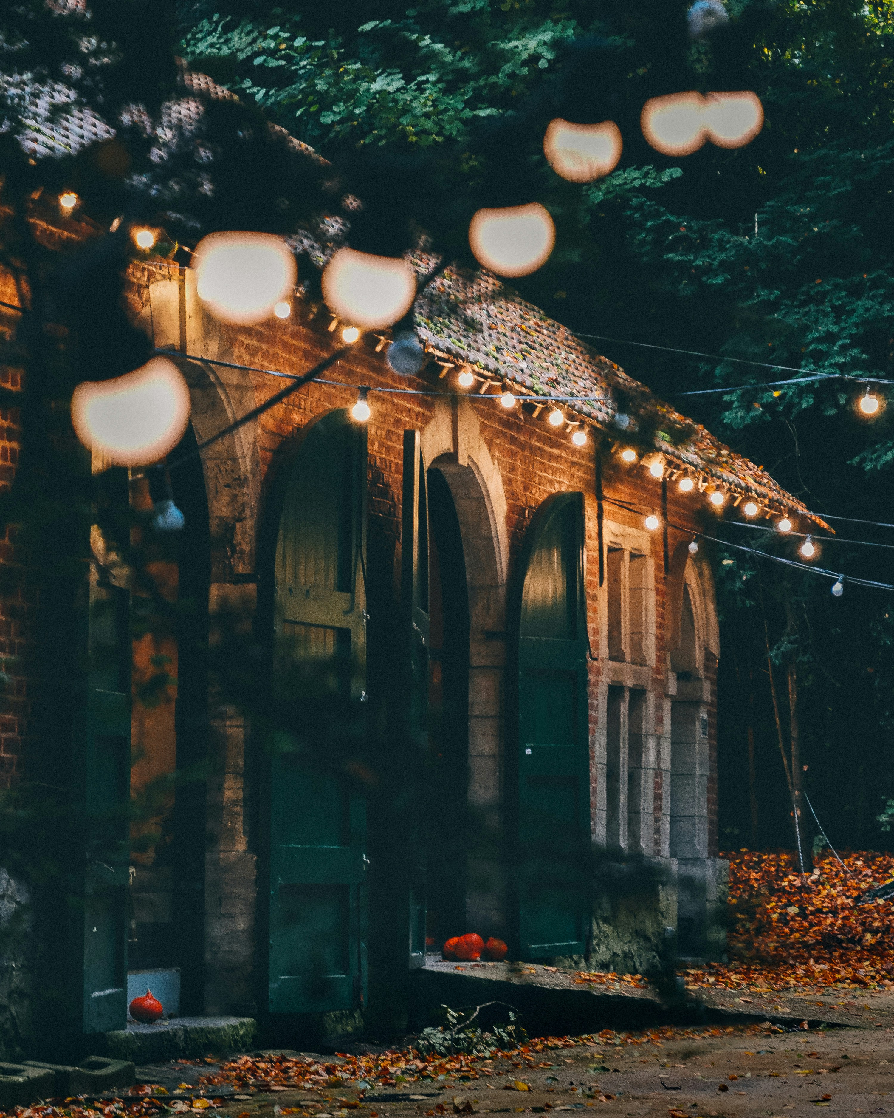 Photo by damien_schneider