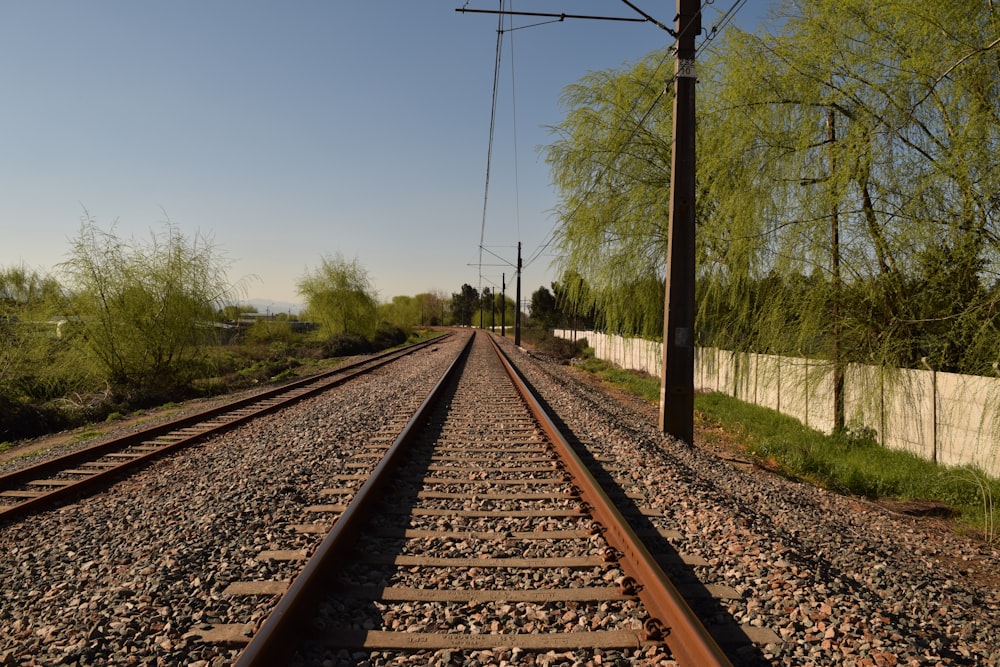 a railroad track with trees on either side of it