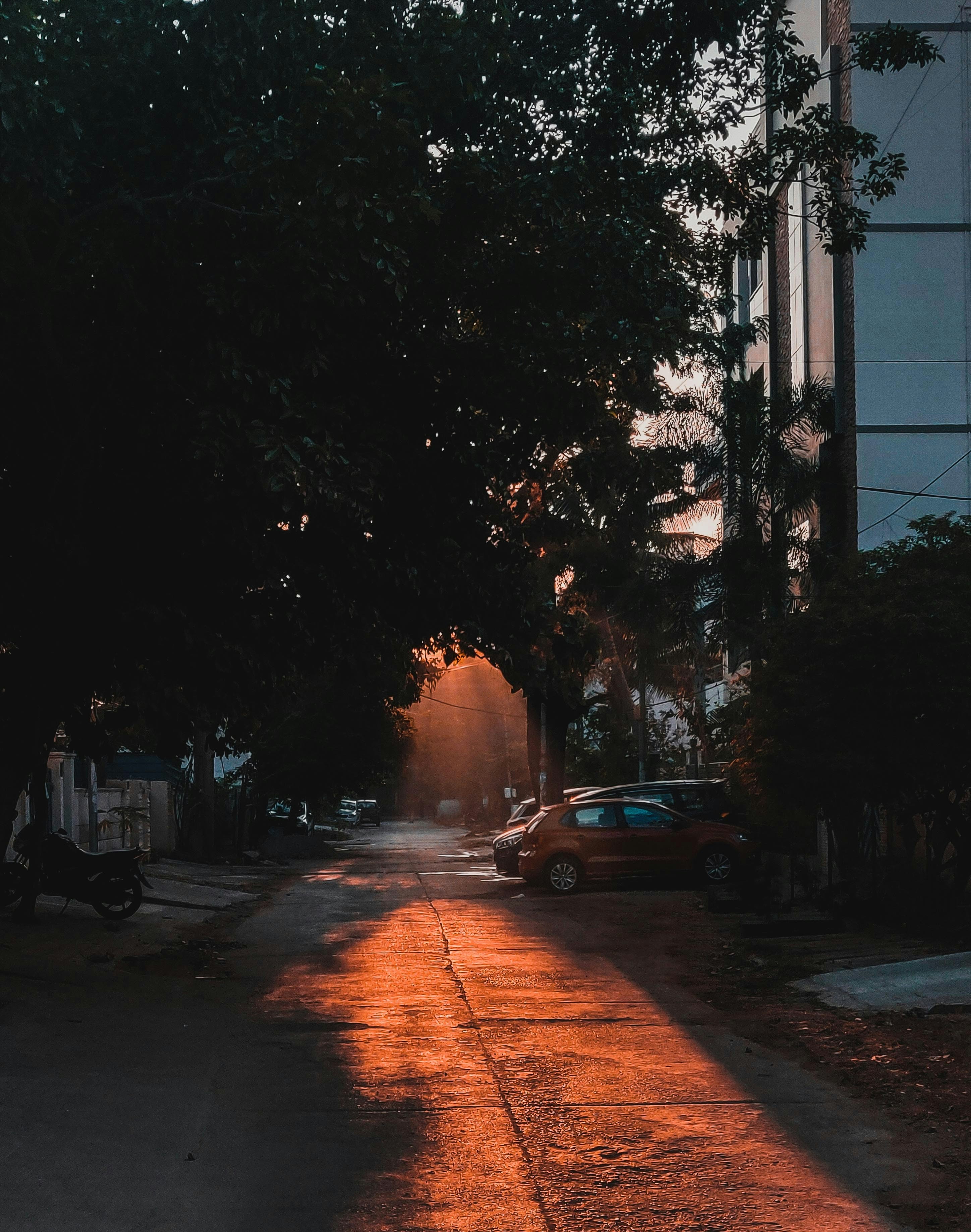 Photo by sanjayreddy1